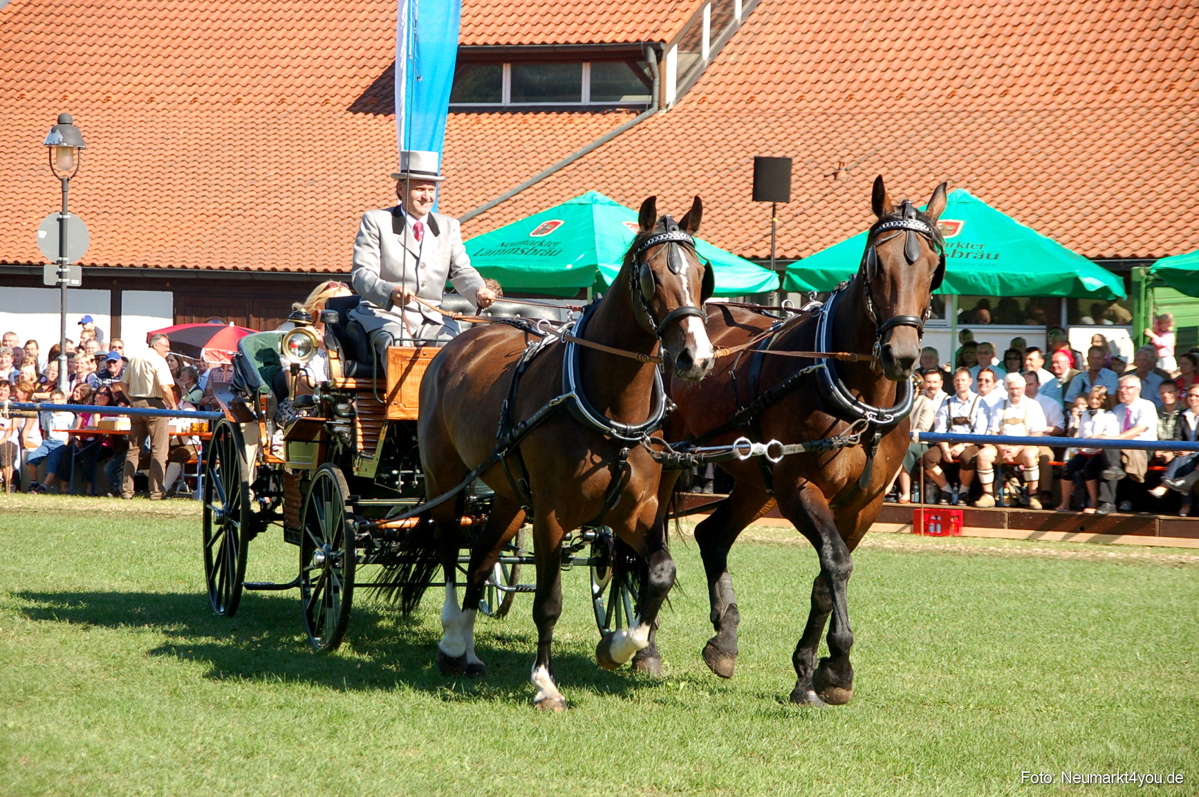 0085 Pferdeschau Neumarkt 180808
