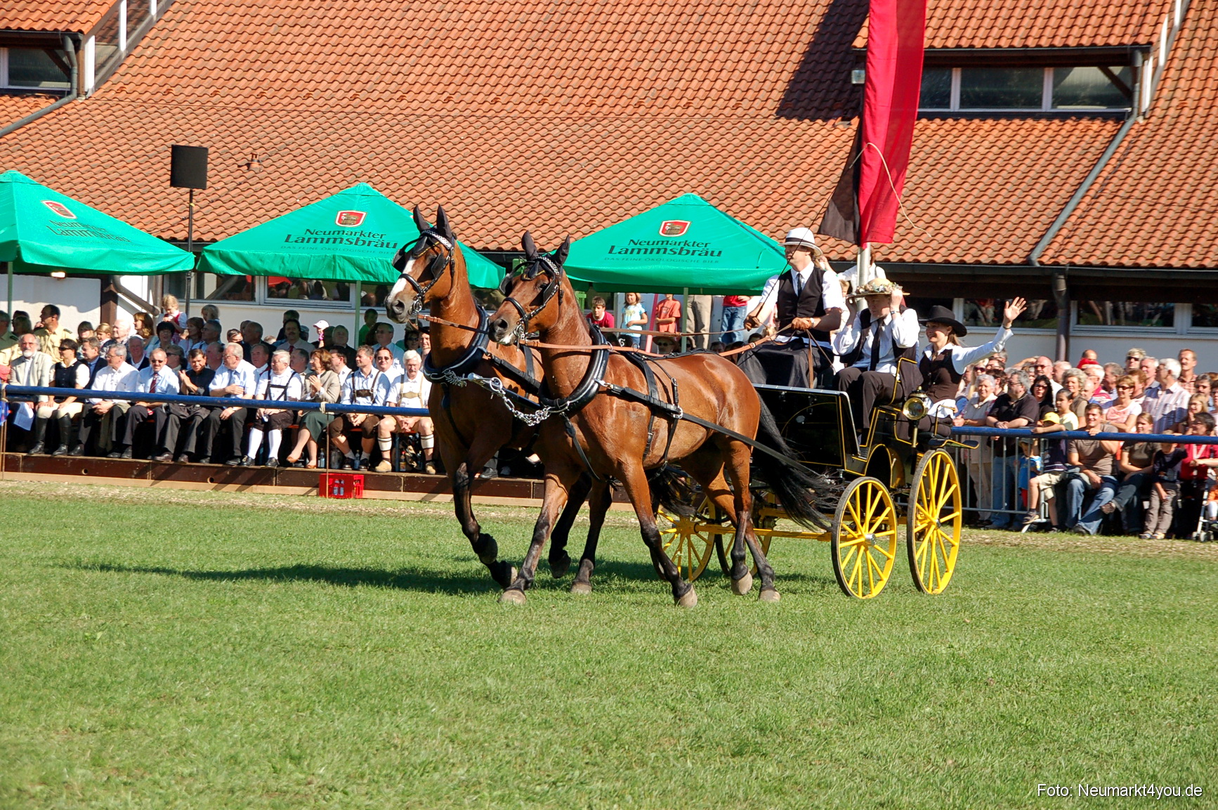 0087 Pferdeschau Neumarkt 180808