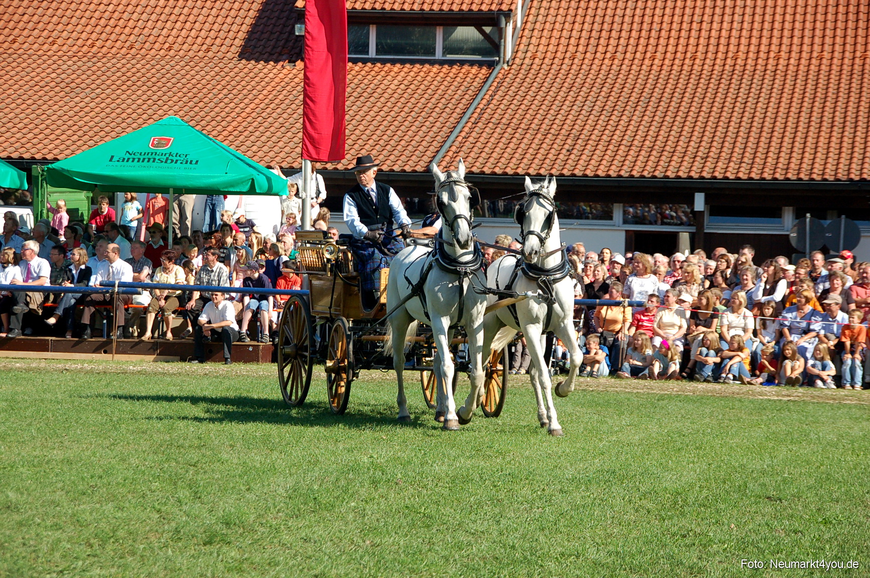 0088 Pferdeschau Neumarkt 180808
