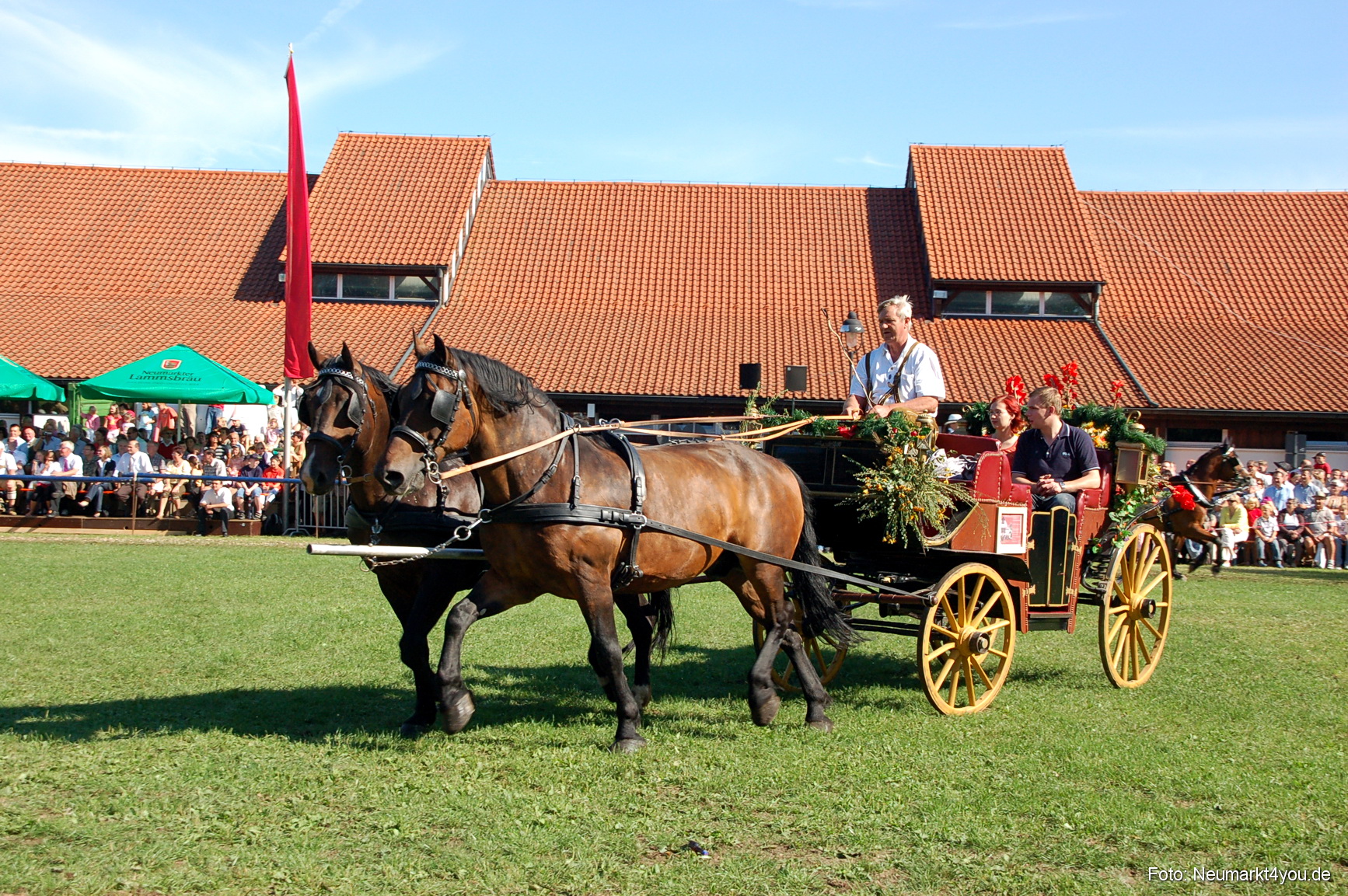 0089 Pferdeschau Neumarkt 180808