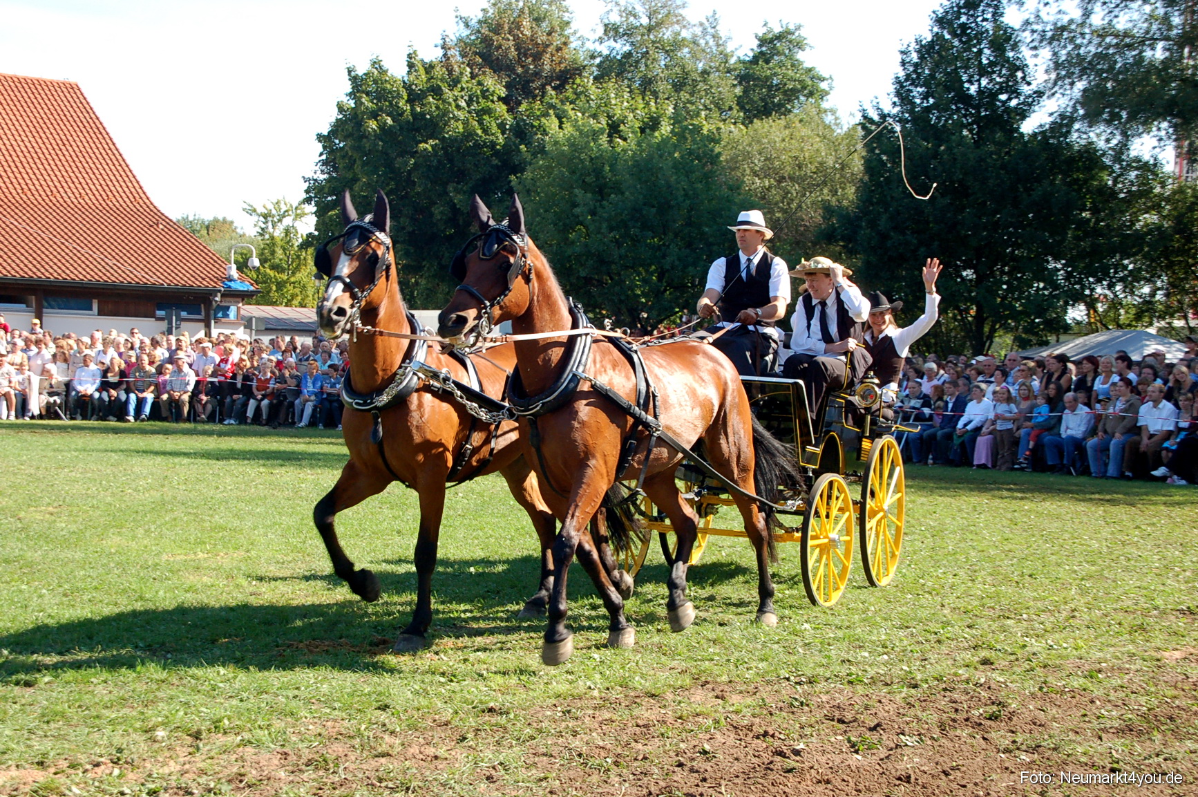 0090 Pferdeschau Neumarkt 180808