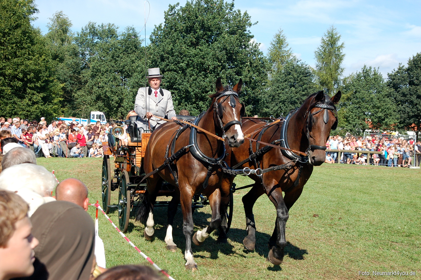 0091 Pferdeschau Neumarkt 180808