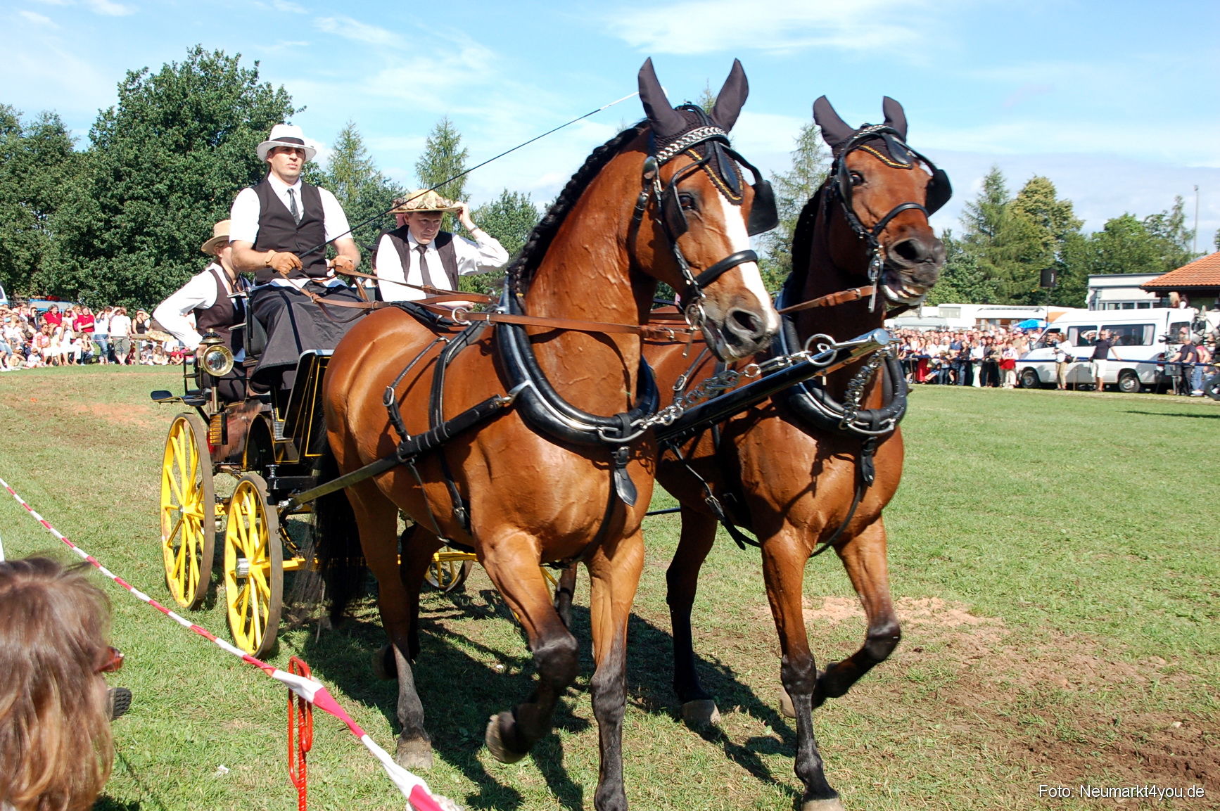 0093 Pferdeschau Neumarkt 180808