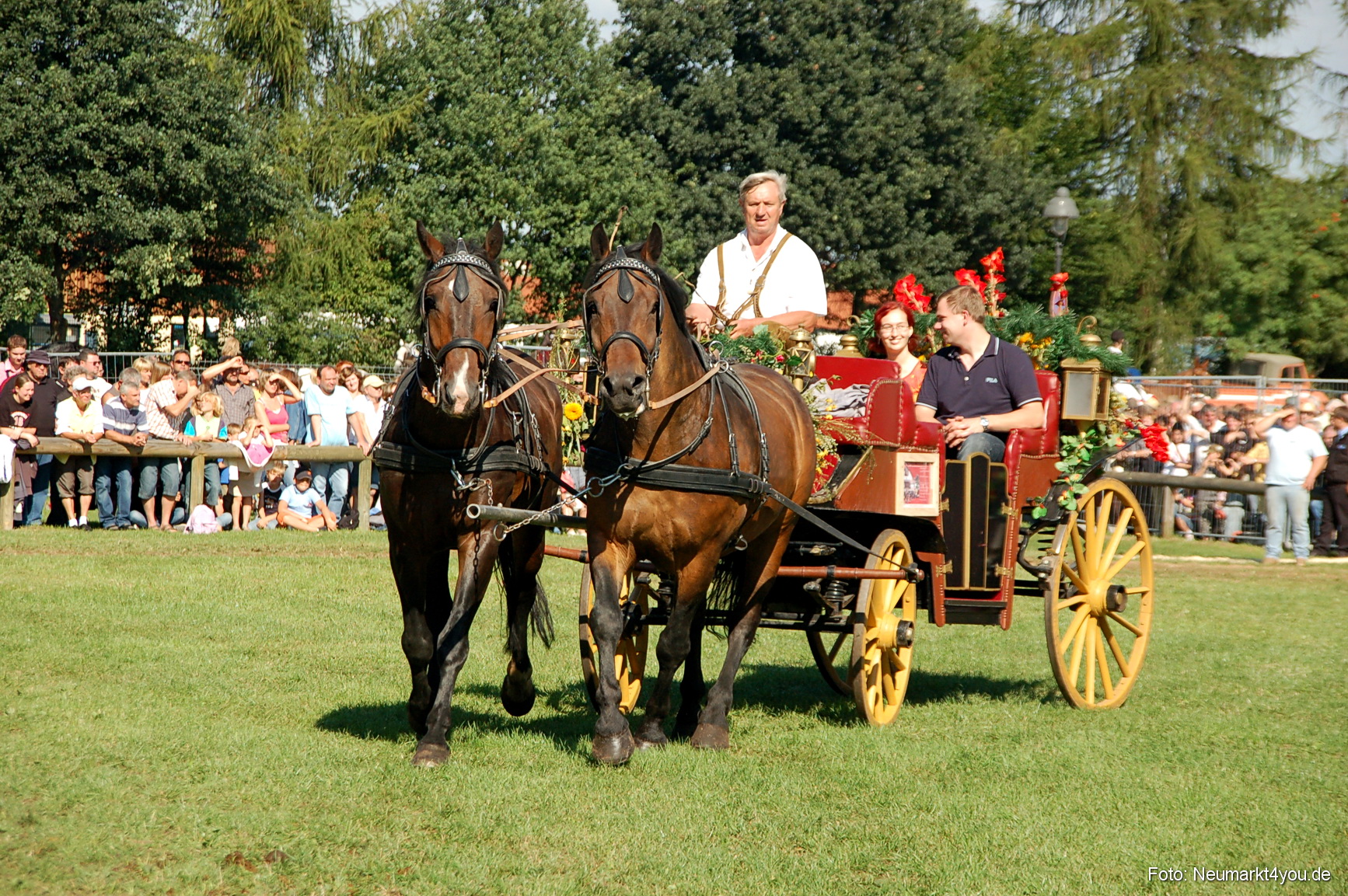 0094 Pferdeschau Neumarkt 180808