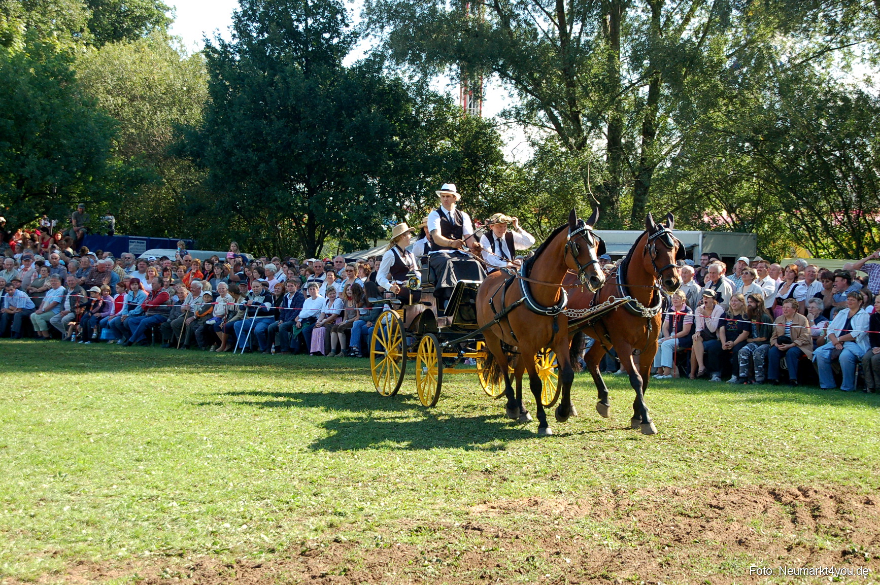 0096 Pferdeschau Neumarkt 180808