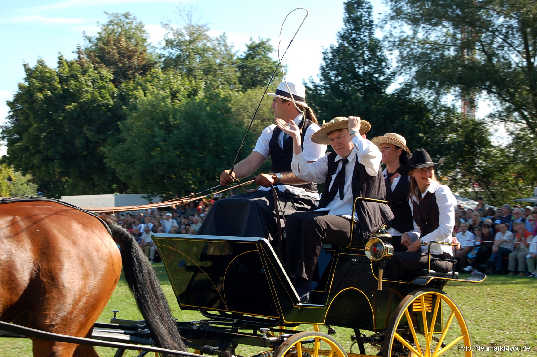 0097 Pferdeschau Neumarkt 180808