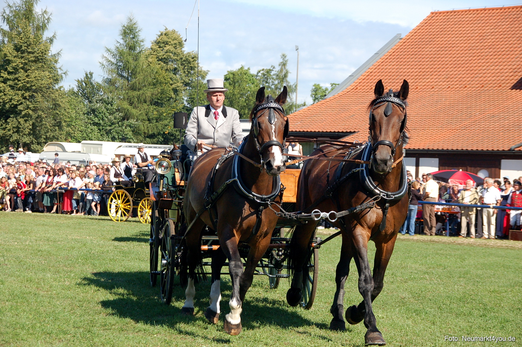 0098 Pferdeschau Neumarkt 180808