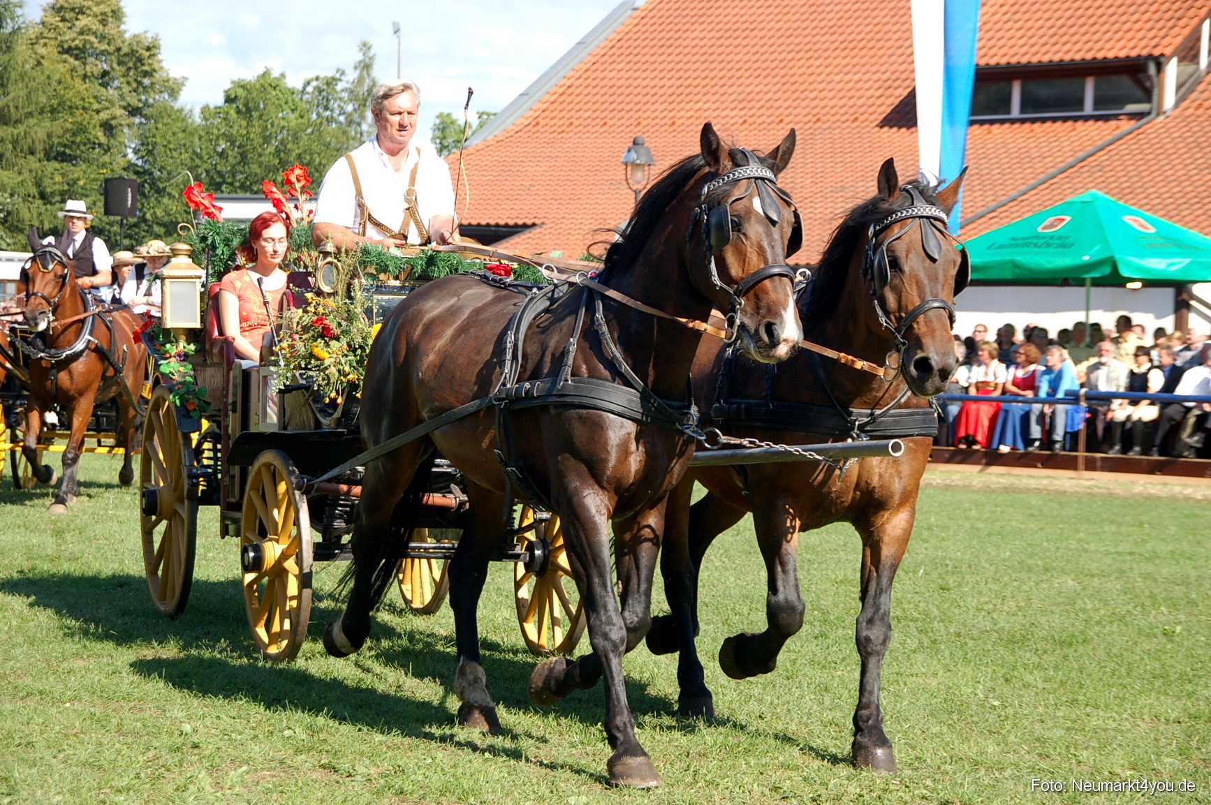 0099 Pferdeschau Neumarkt 180808