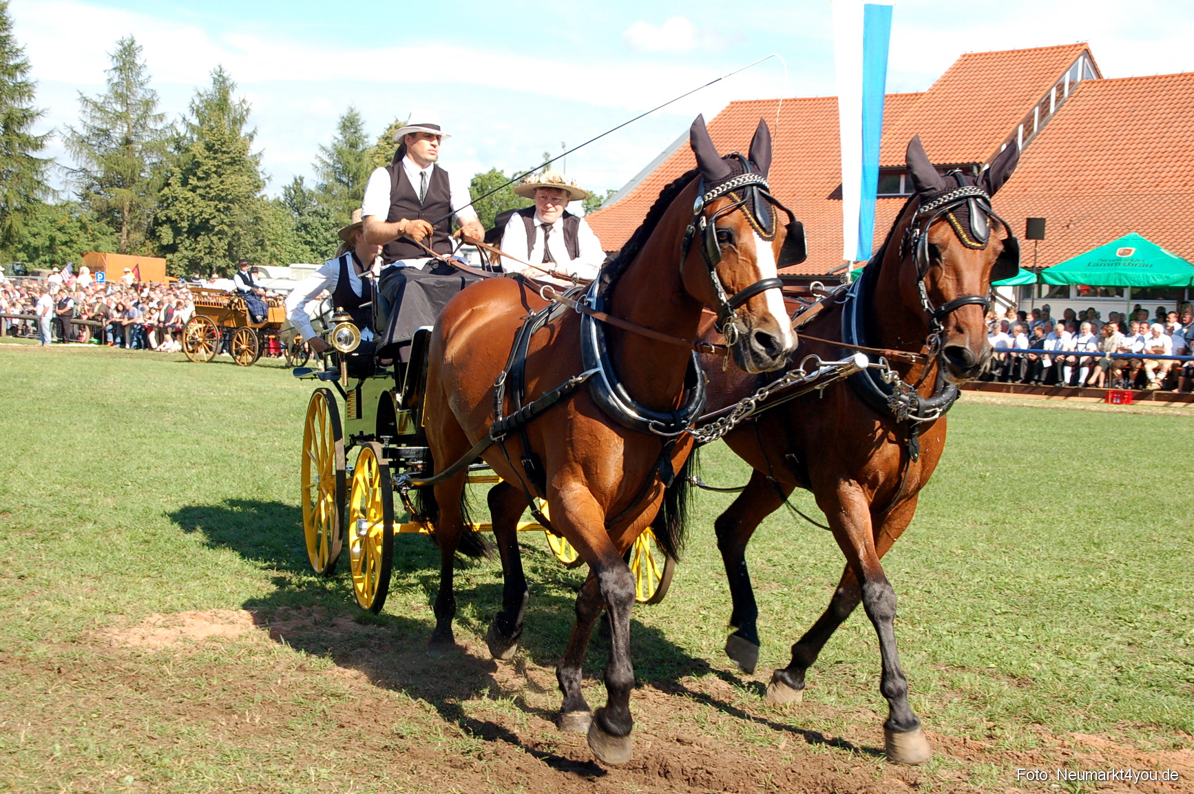 0100 Pferdeschau Neumarkt 180808