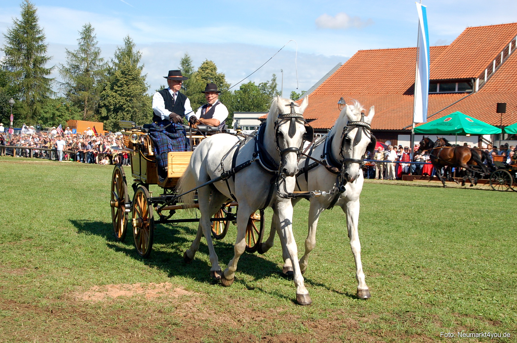 0101 Pferdeschau Neumarkt 180808