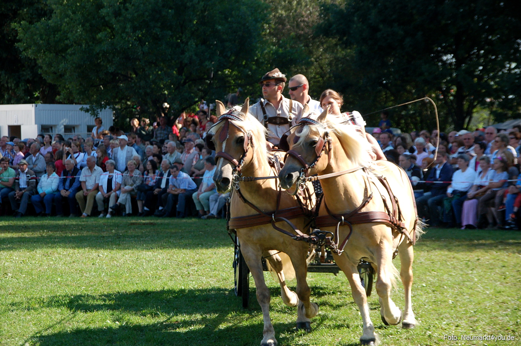 0106 Pferdeschau Neumarkt 180808