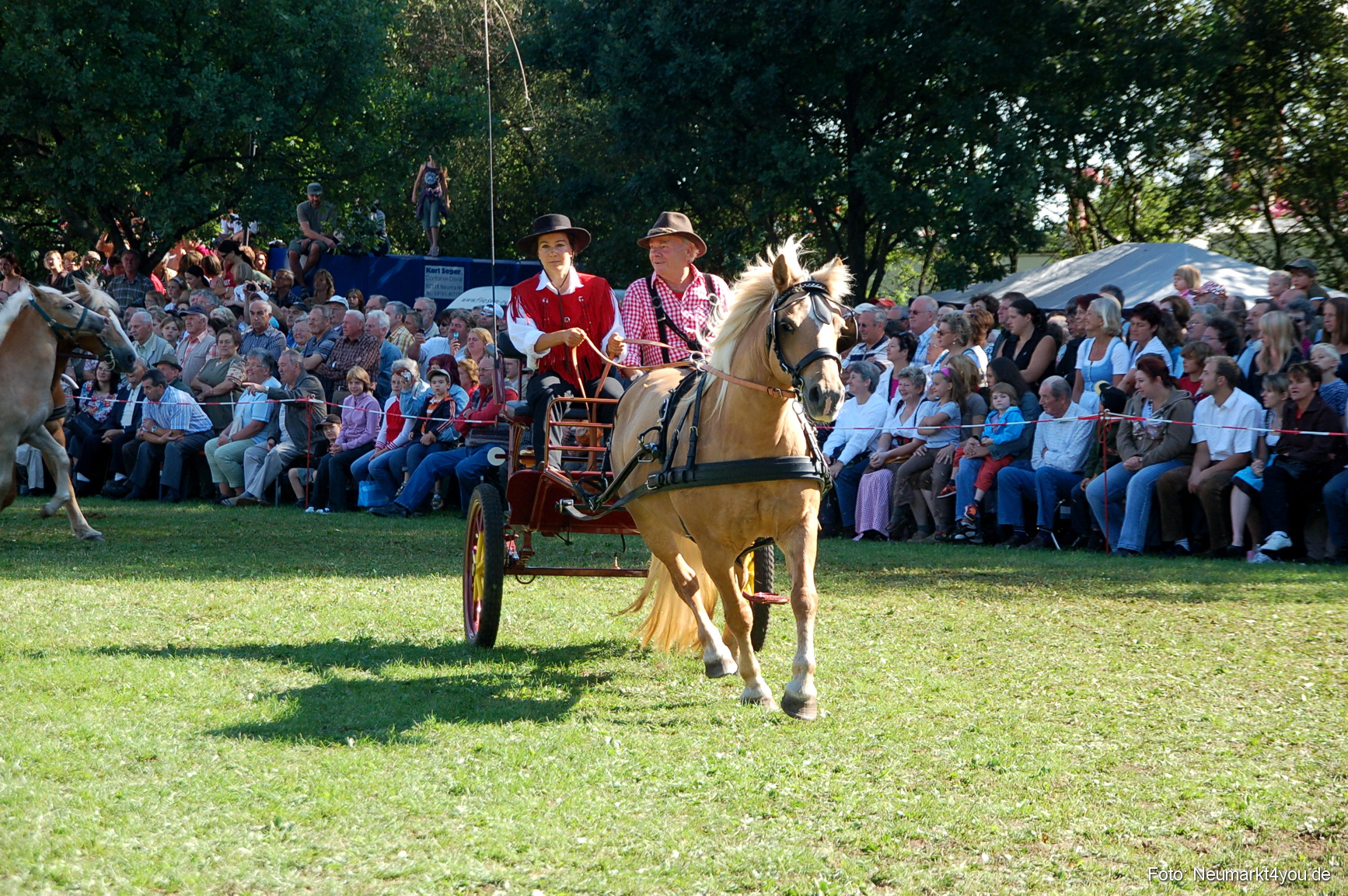 0107 Pferdeschau Neumarkt 180808