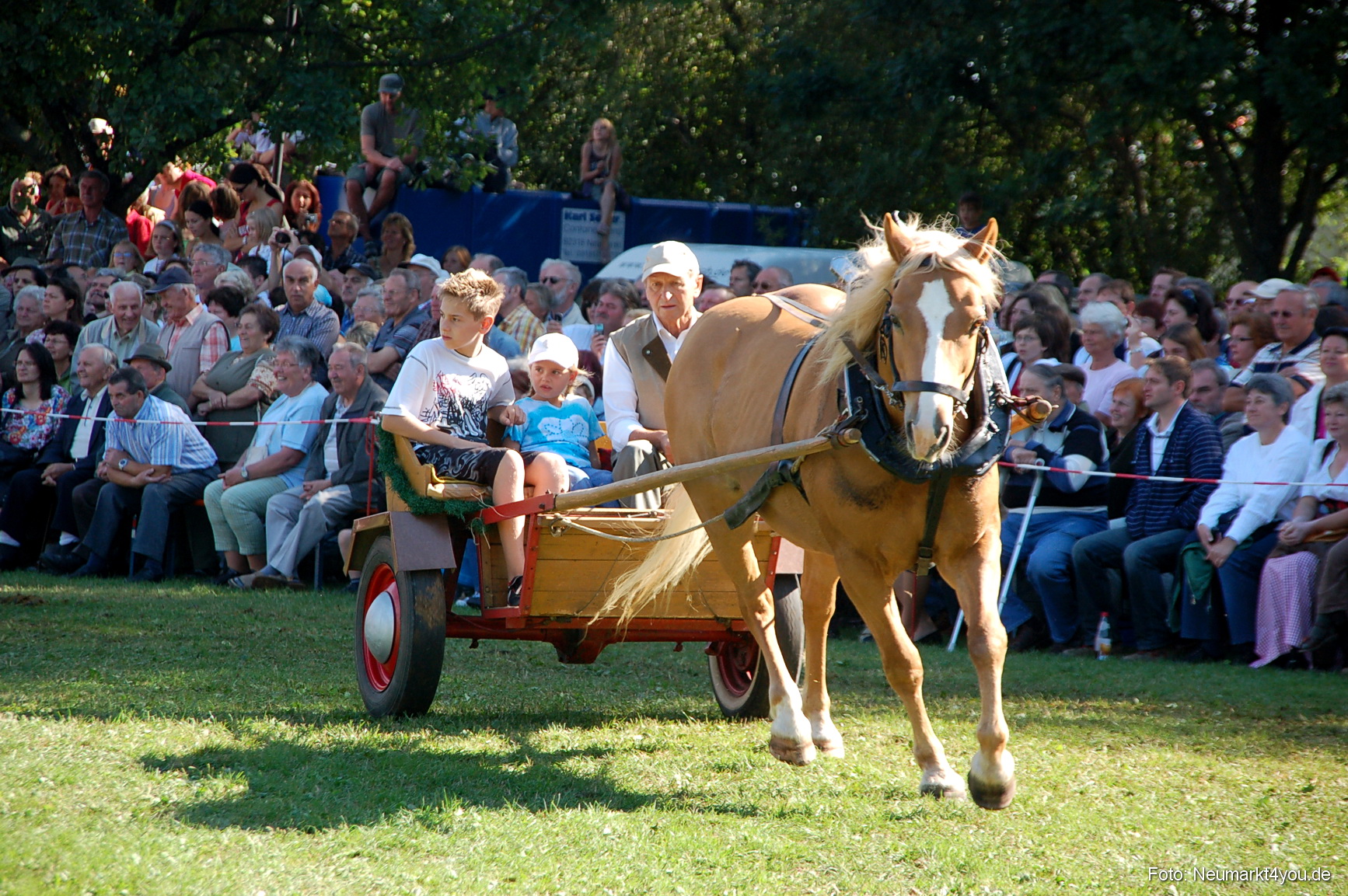 0108 Pferdeschau Neumarkt 180808