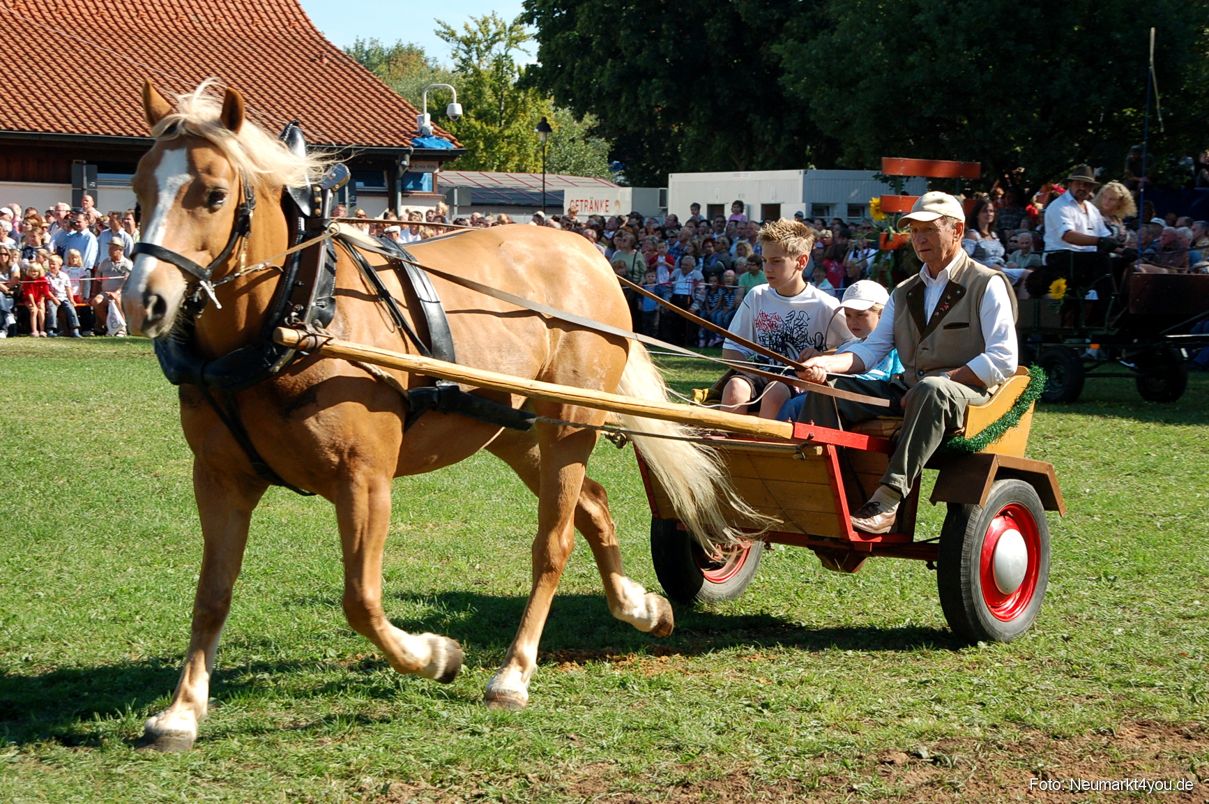 0109 Pferdeschau Neumarkt 180808