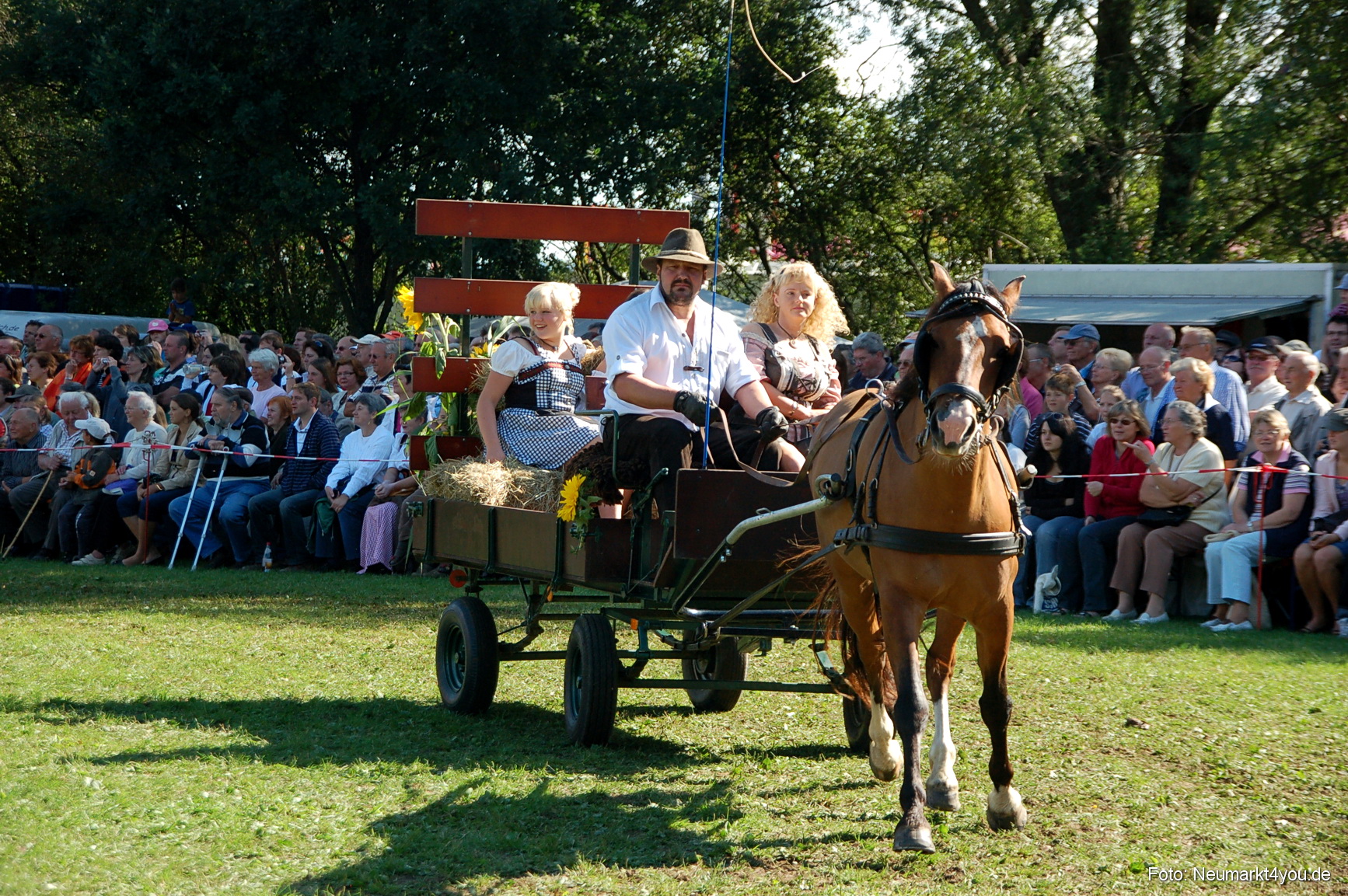 0110 Pferdeschau Neumarkt 180808