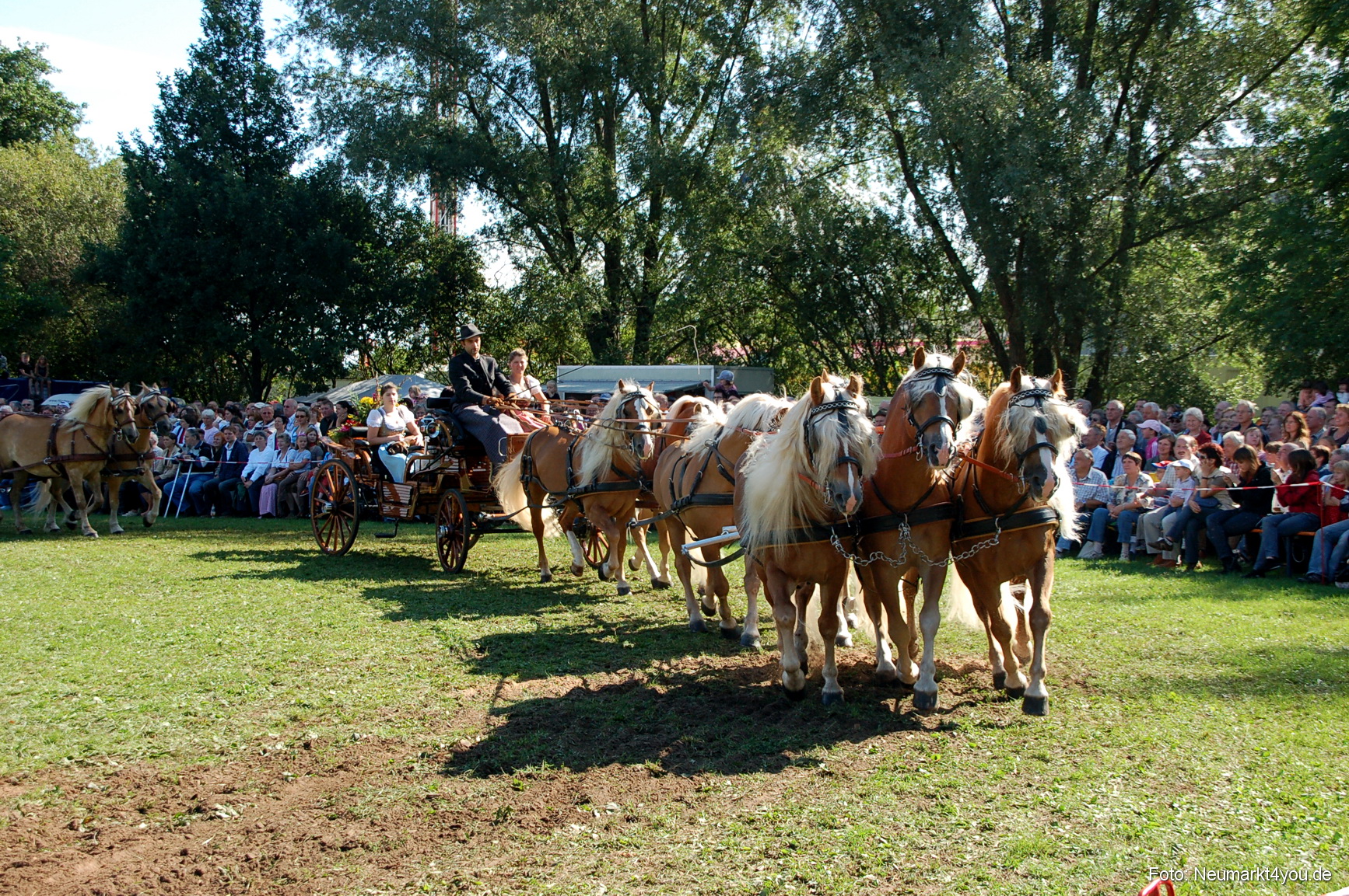 0112 Pferdeschau Neumarkt 180808