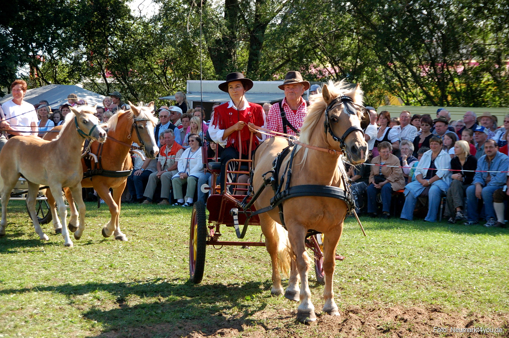 0115 Pferdeschau Neumarkt 180808
