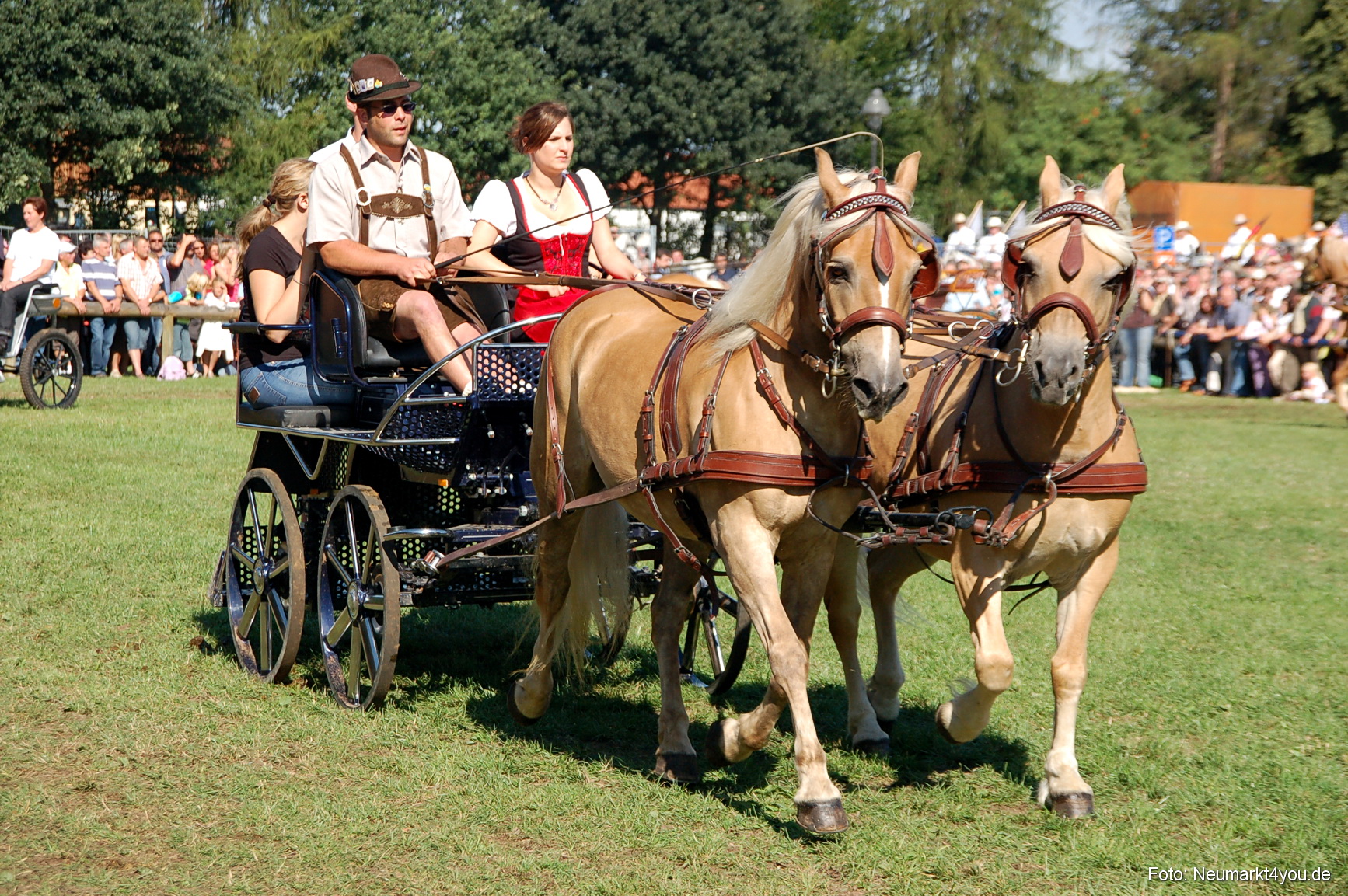 0119 Pferdeschau Neumarkt 180808