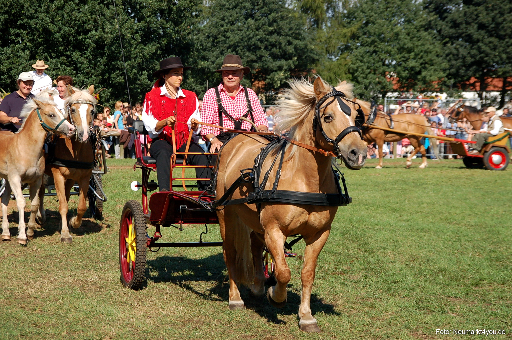 0120 Pferdeschau Neumarkt 180808
