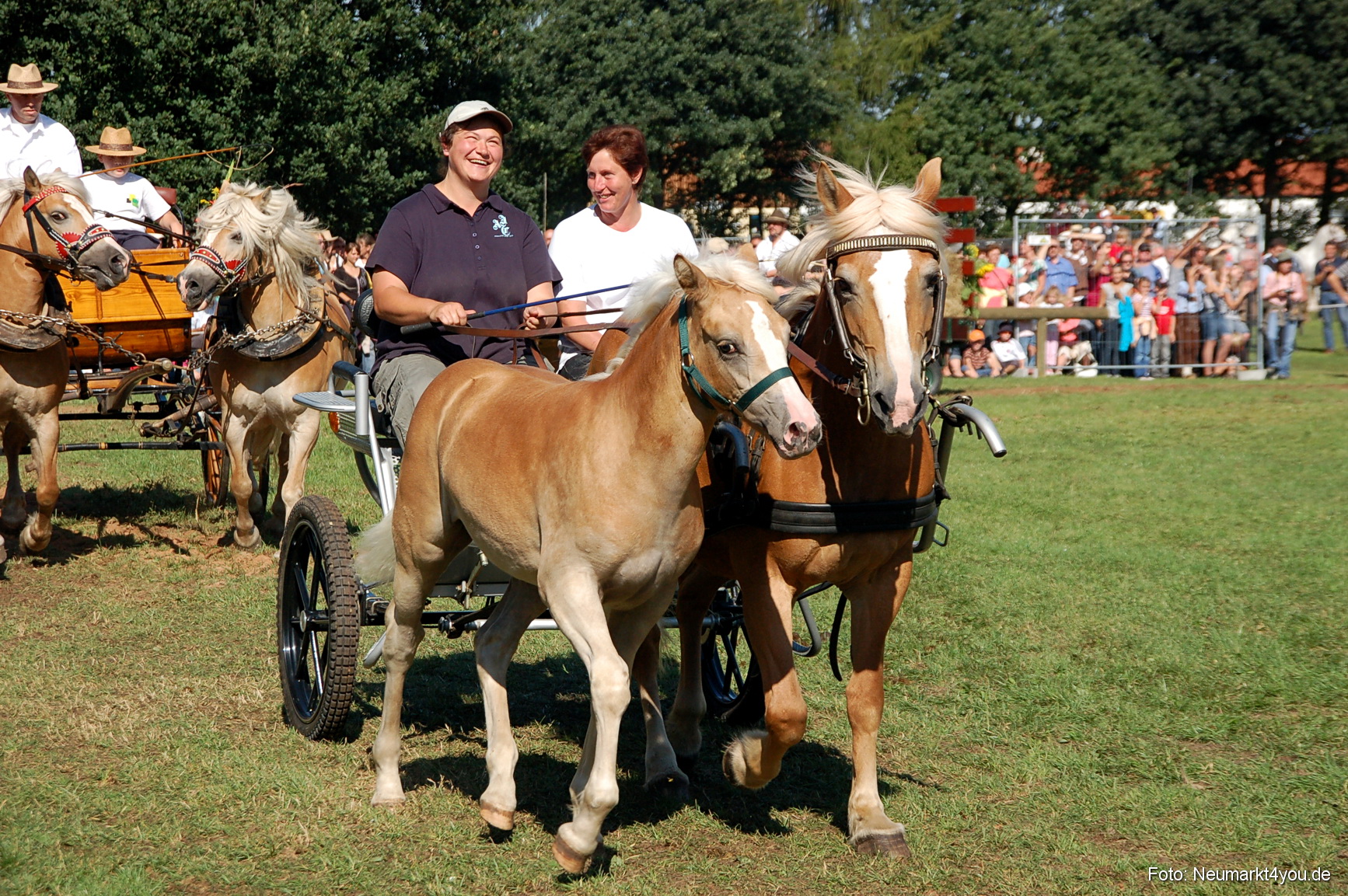 0121 Pferdeschau Neumarkt 180808