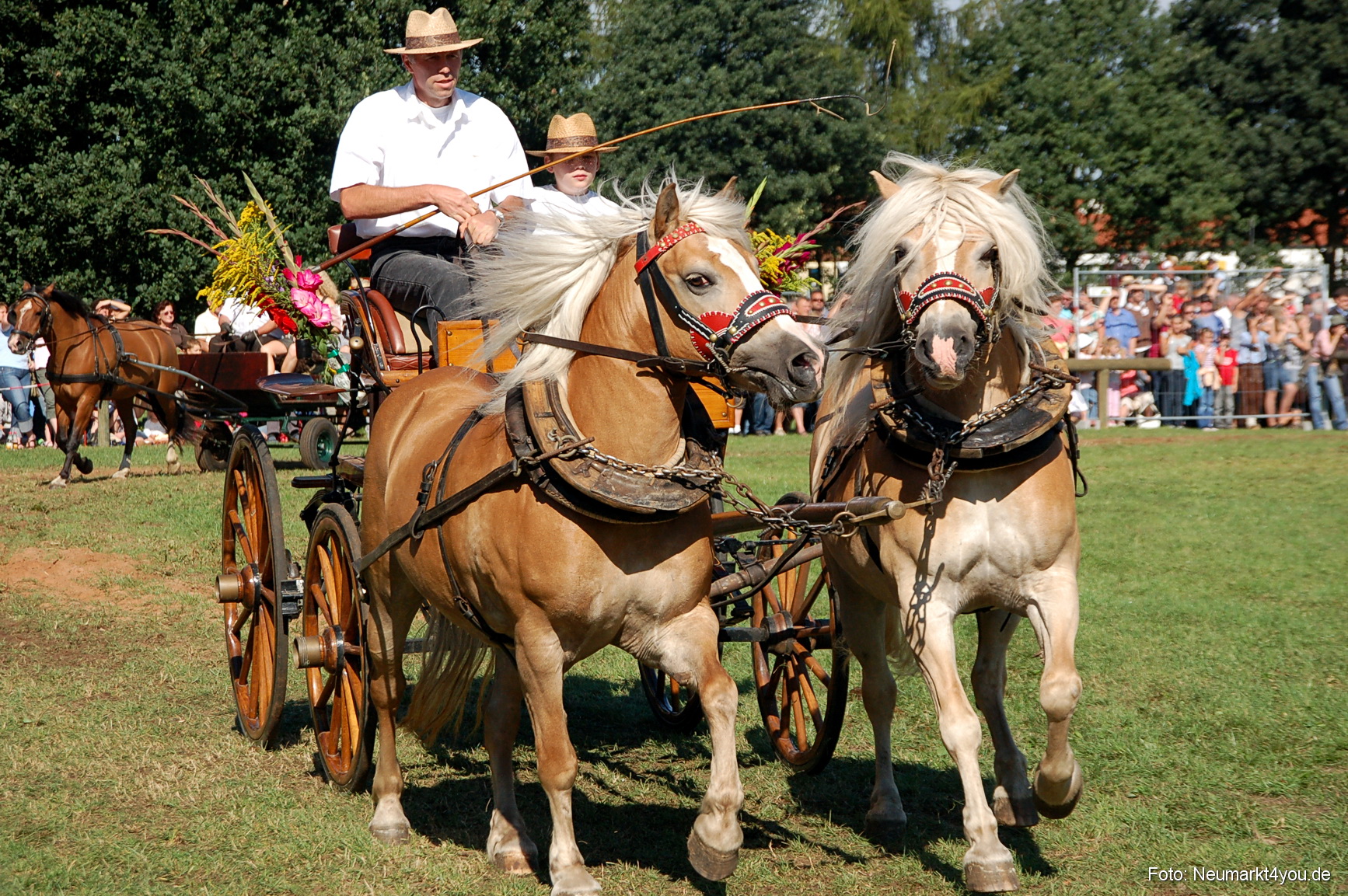 0122 Pferdeschau Neumarkt 180808