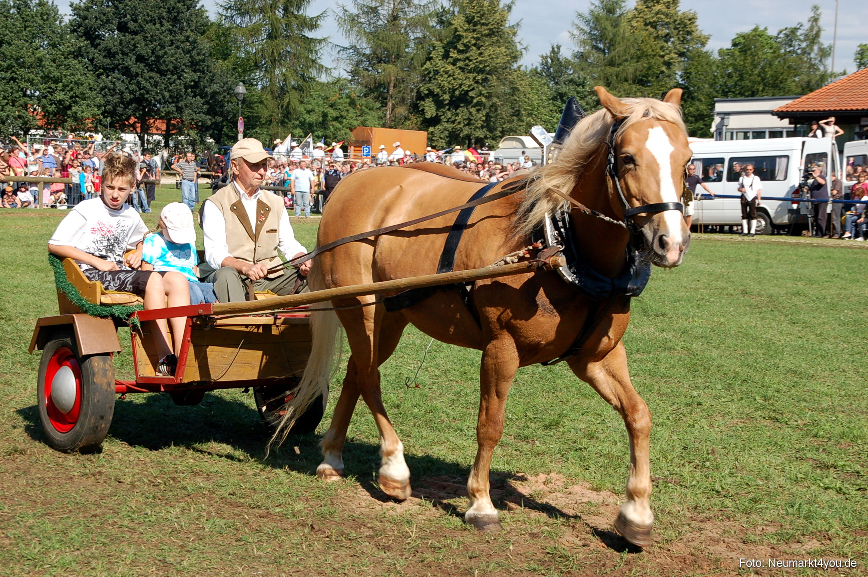 0123 Pferdeschau Neumarkt 180808