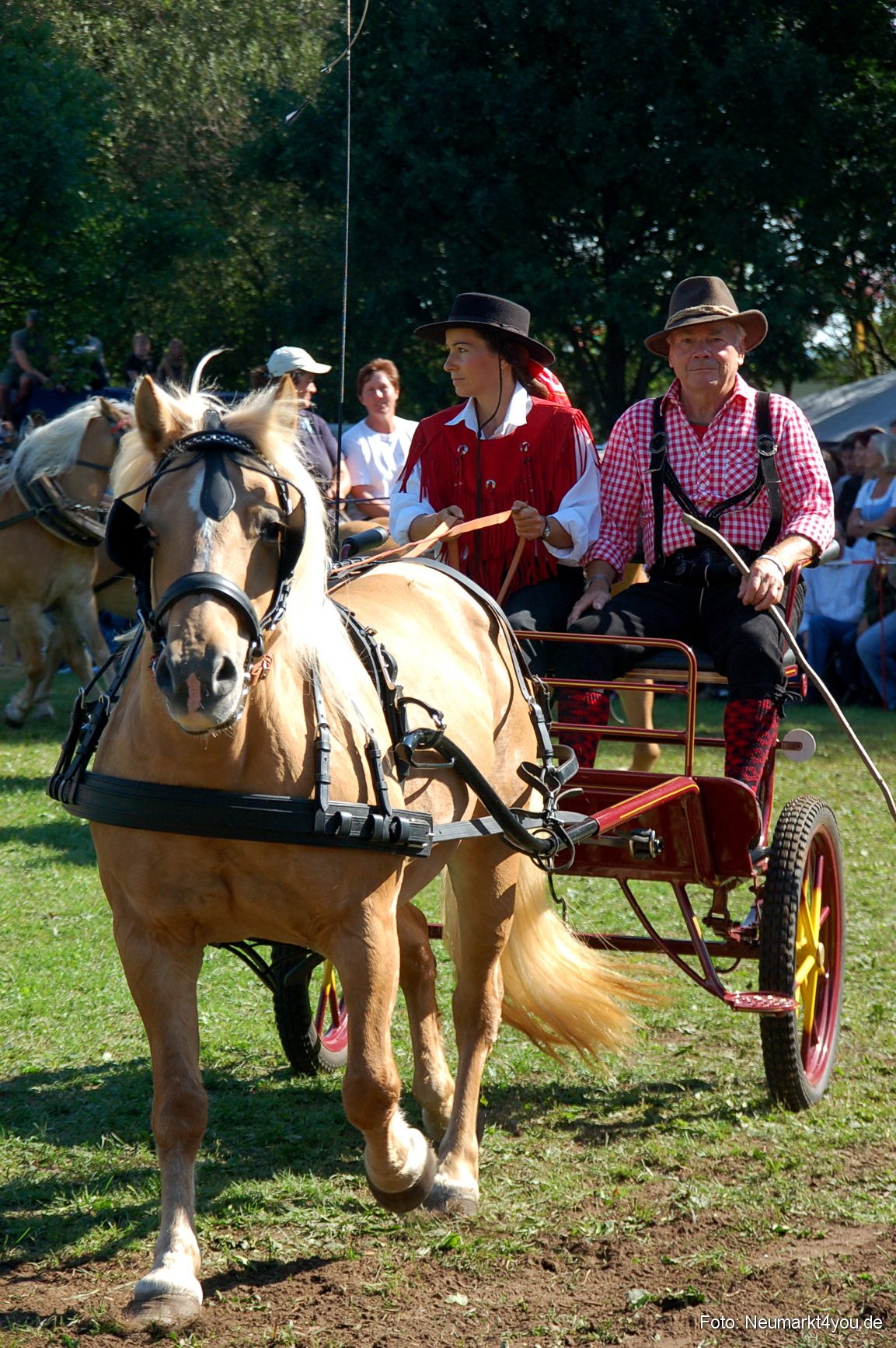 0125 Pferdeschau Neumarkt 180808