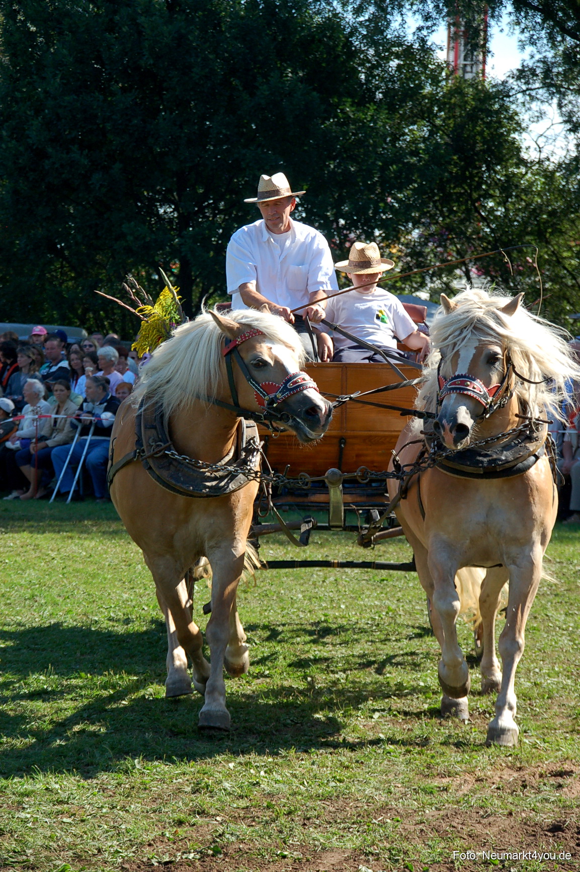 0126 Pferdeschau Neumarkt 180808