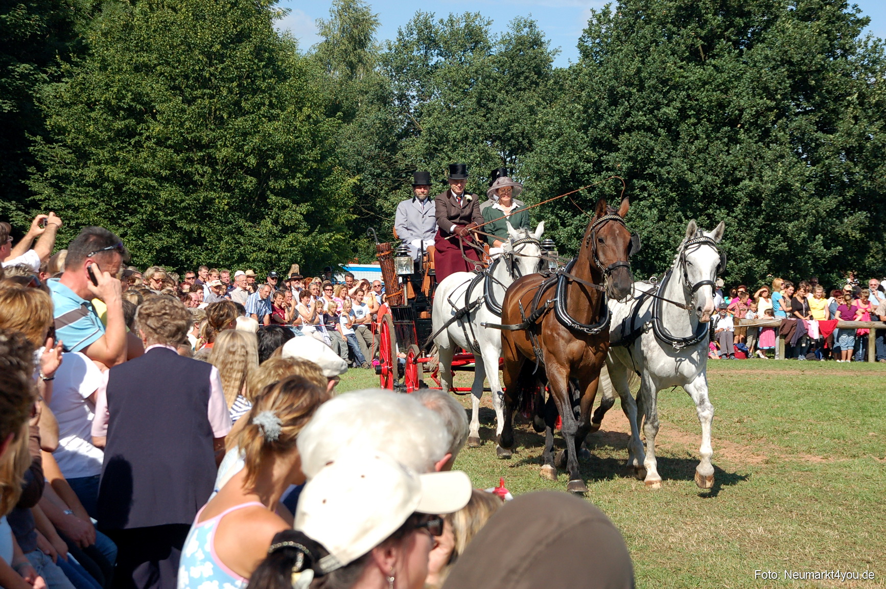 0132 Pferdeschau Neumarkt 180808
