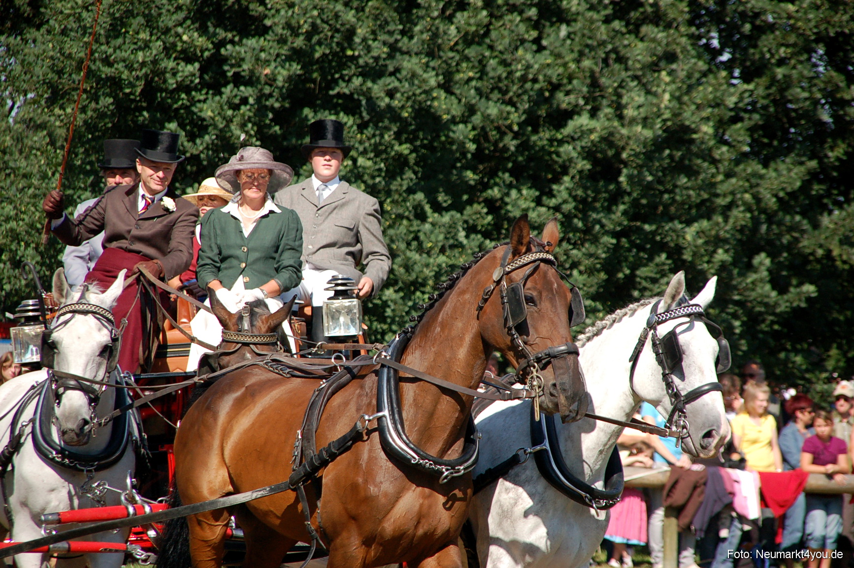 0134 Pferdeschau Neumarkt 180808
