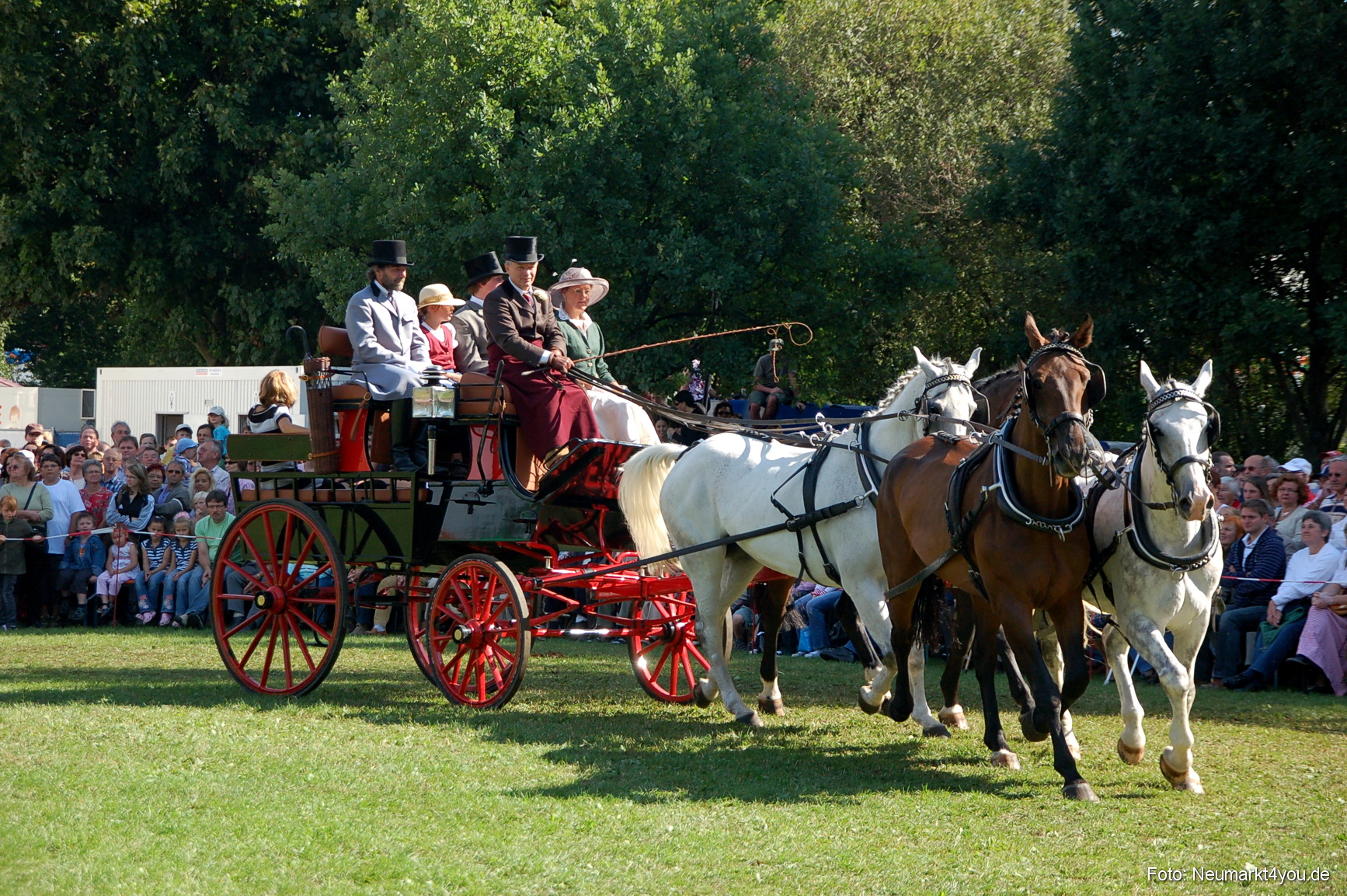 0135 Pferdeschau Neumarkt 180808