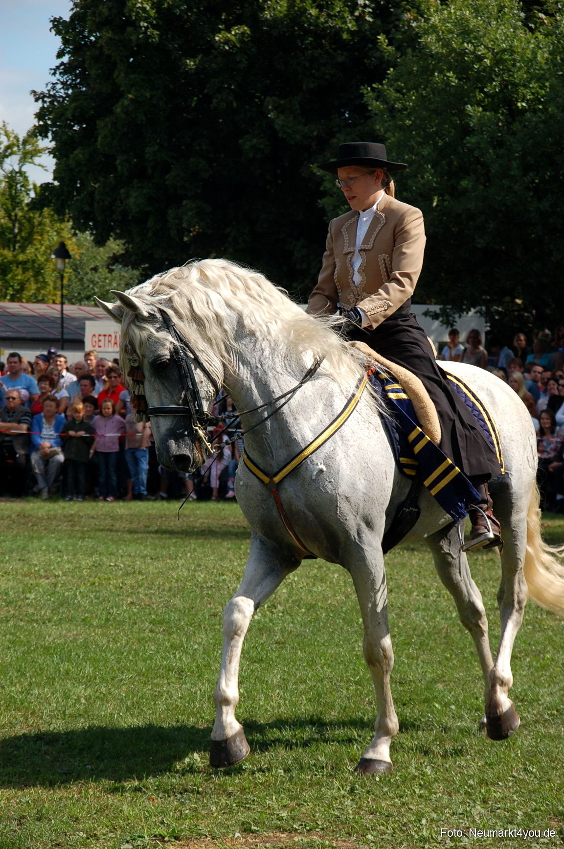 0161 Pferdeschau Neumarkt 180808
