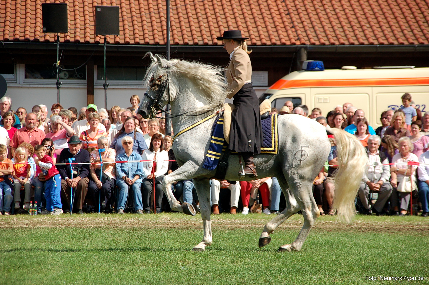 0162 Pferdeschau Neumarkt 180808