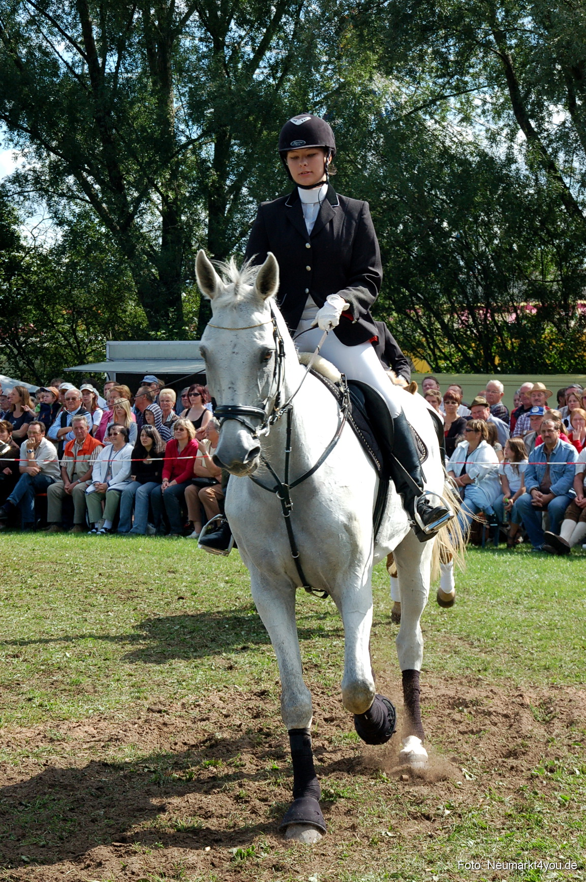 0163 Pferdeschau Neumarkt 180808
