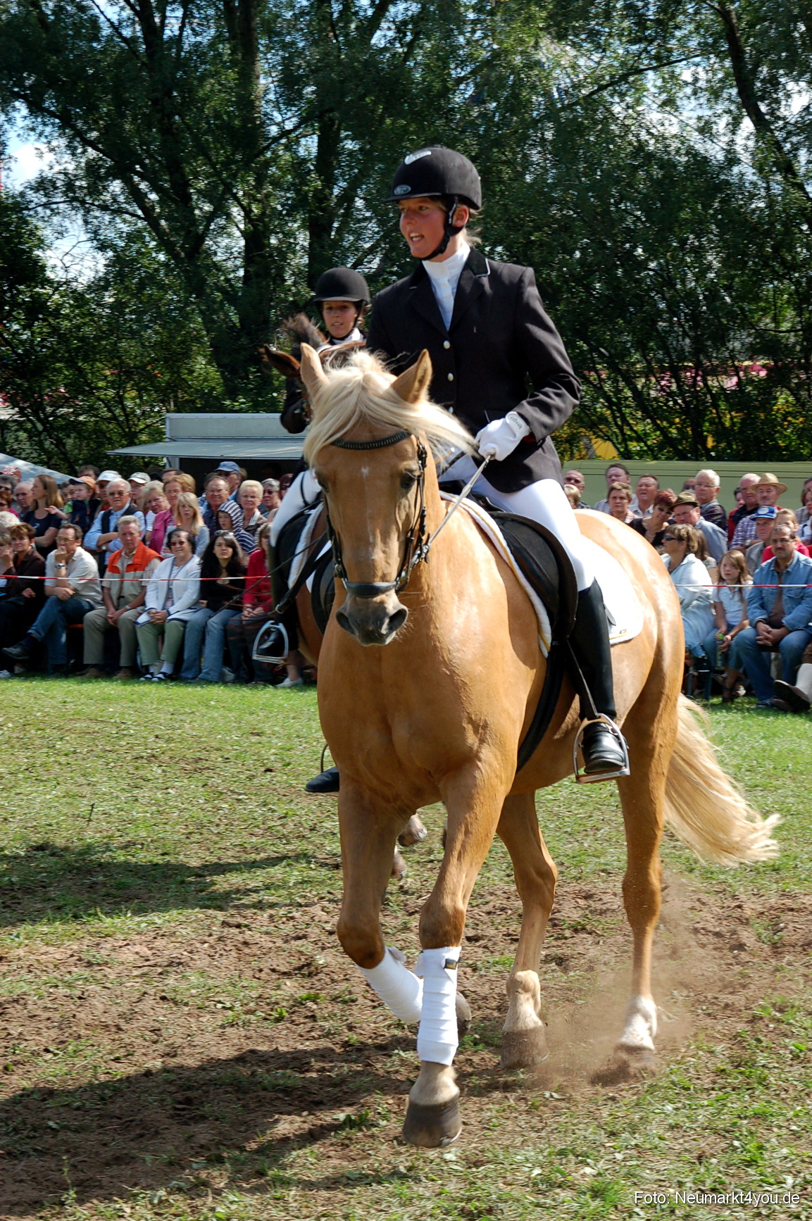 0164 Pferdeschau Neumarkt 180808