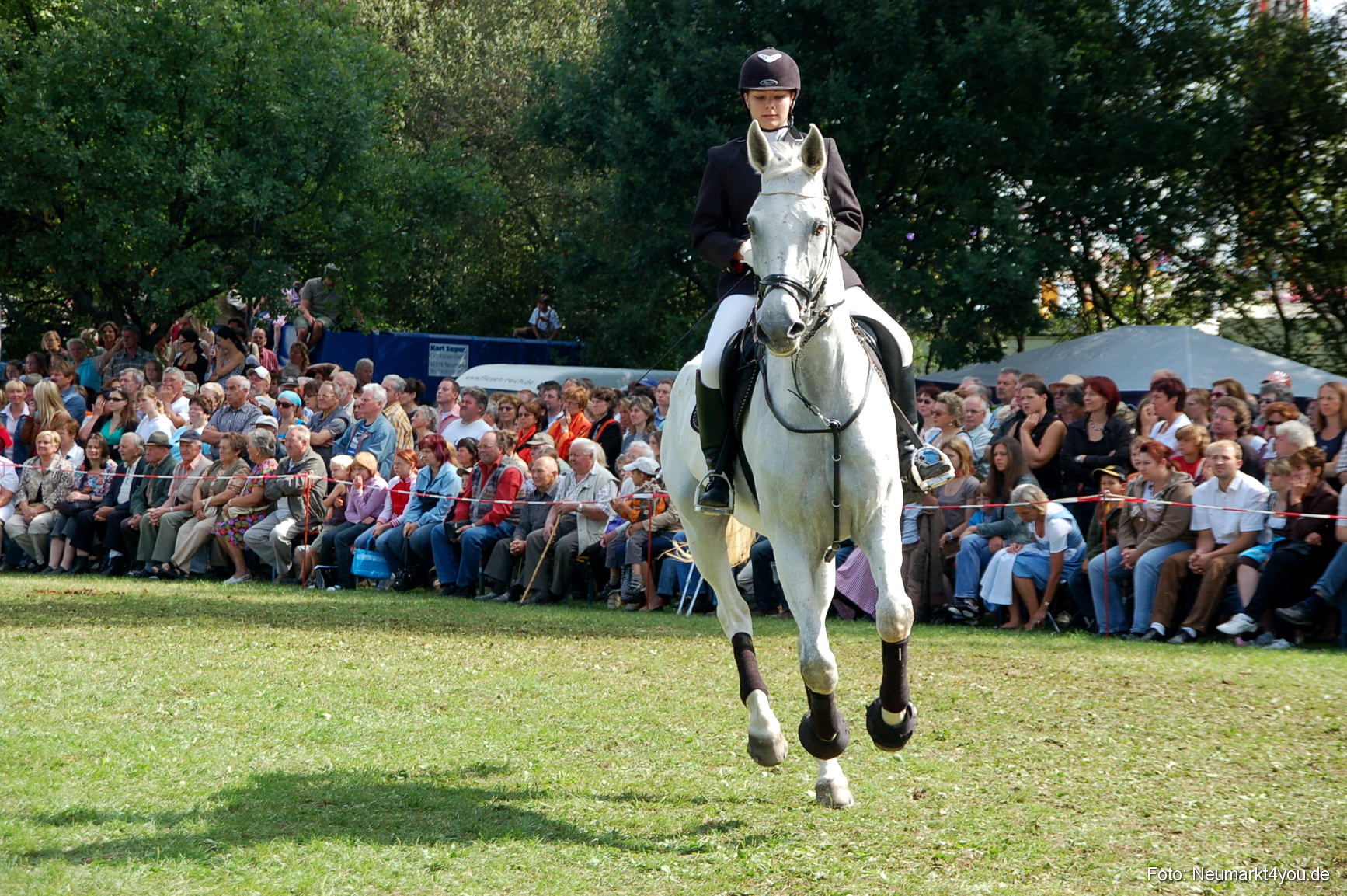 0165 Pferdeschau Neumarkt 180808