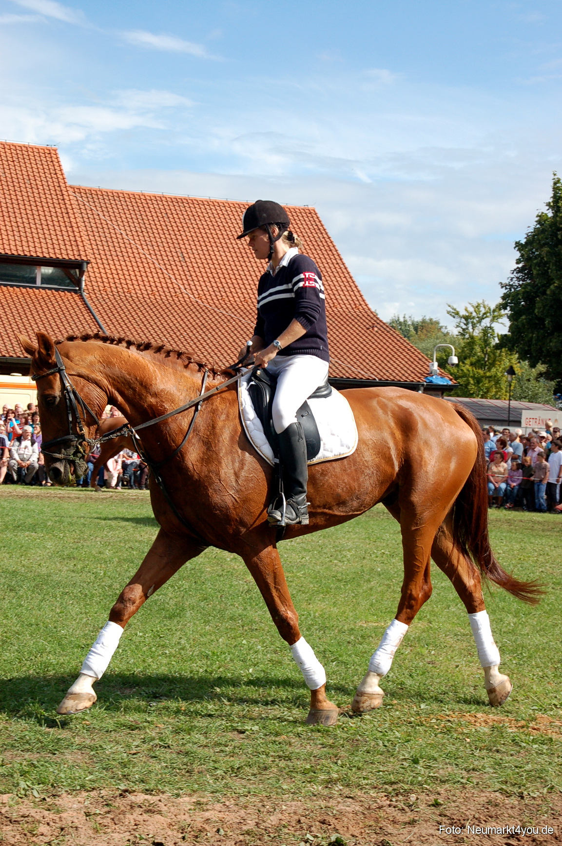 0166 Pferdeschau Neumarkt 180808