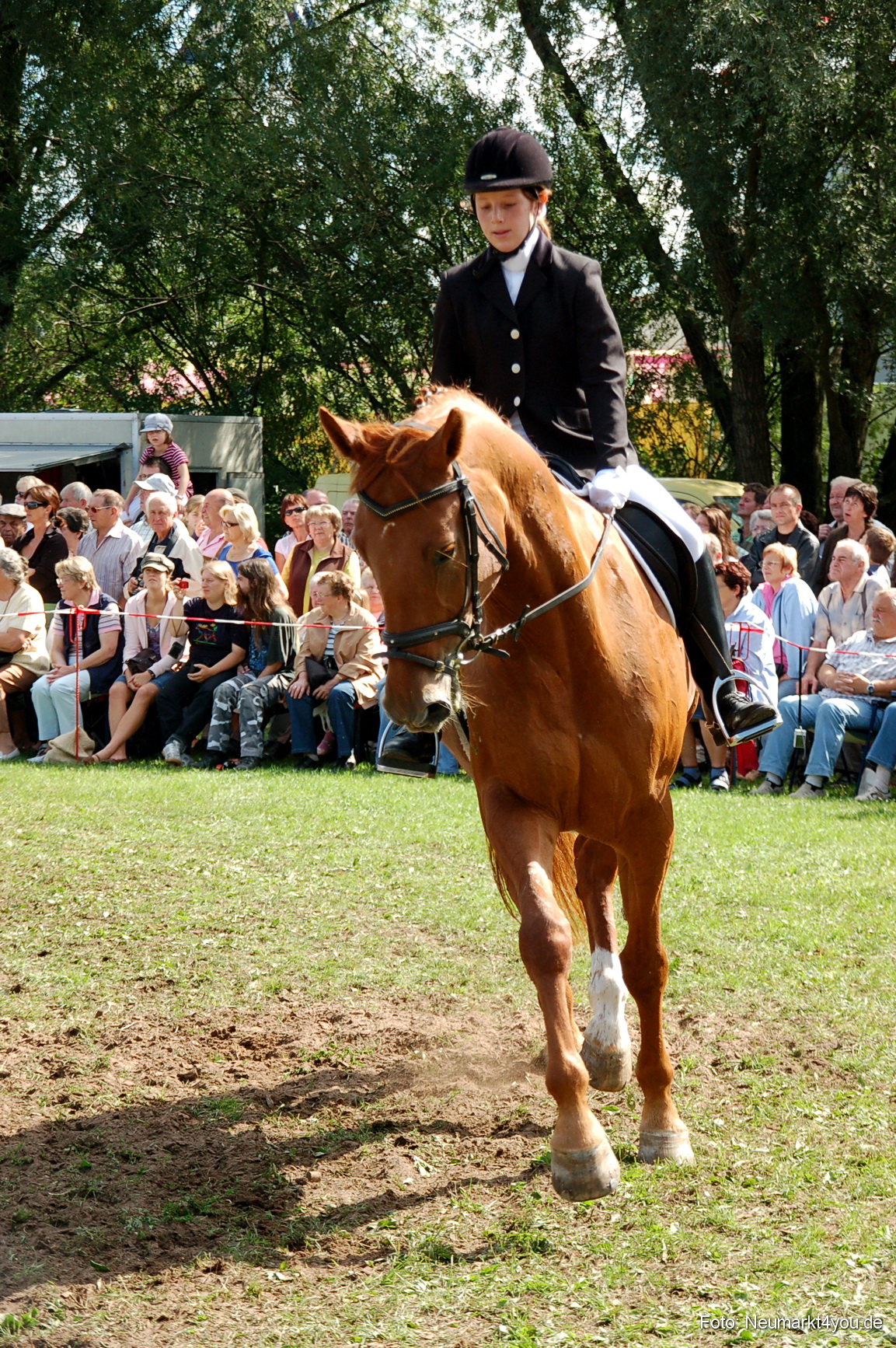 0167 Pferdeschau Neumarkt 180808
