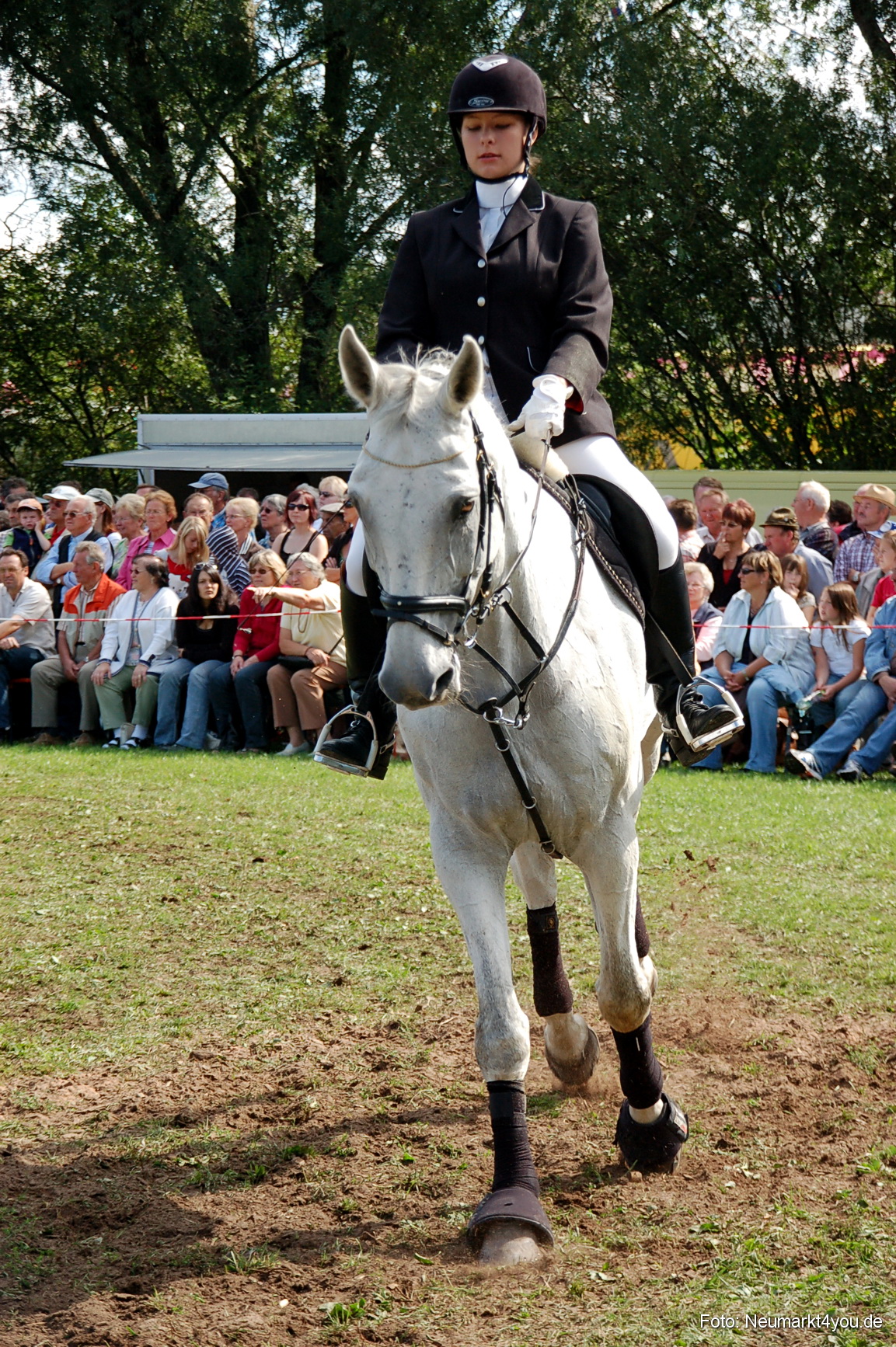 0168 Pferdeschau Neumarkt 180808