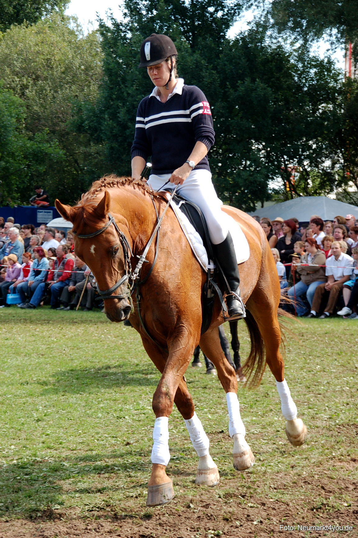 0169 Pferdeschau Neumarkt 180808