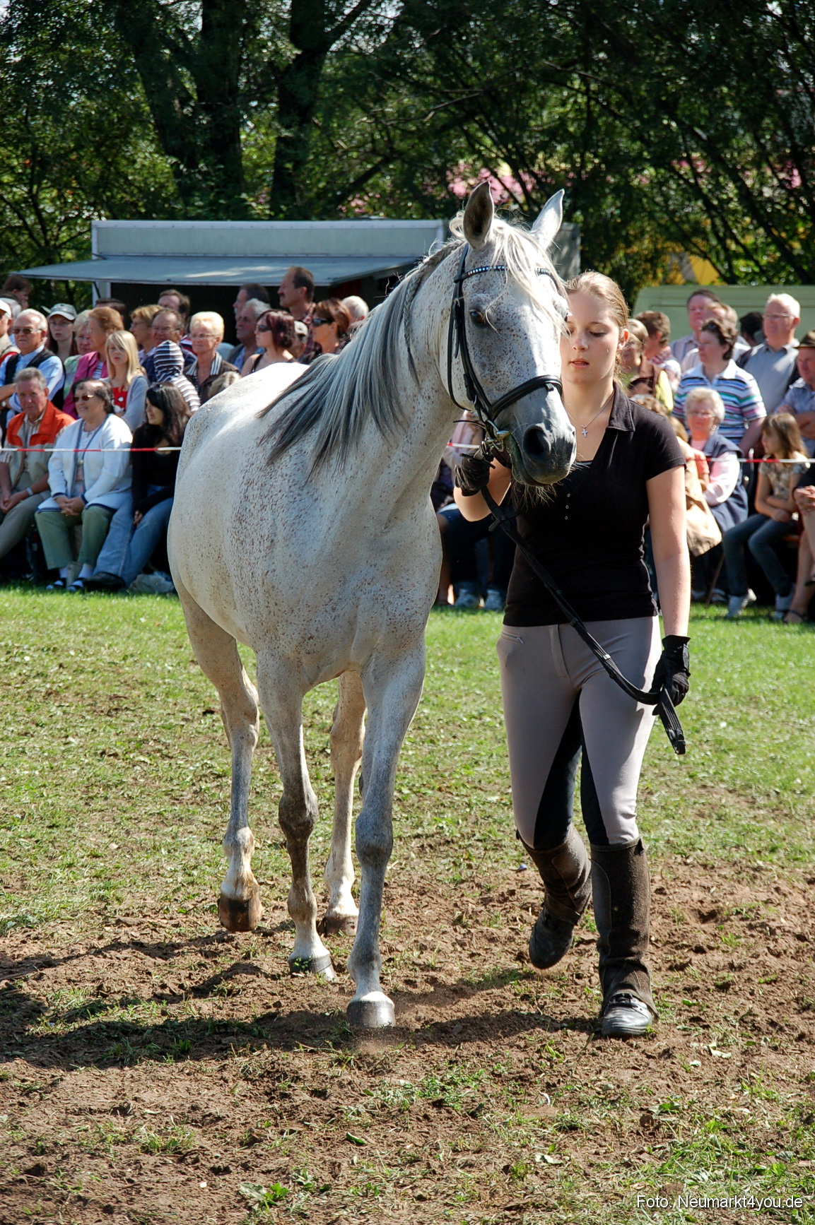 0170 Pferdeschau Neumarkt 180808