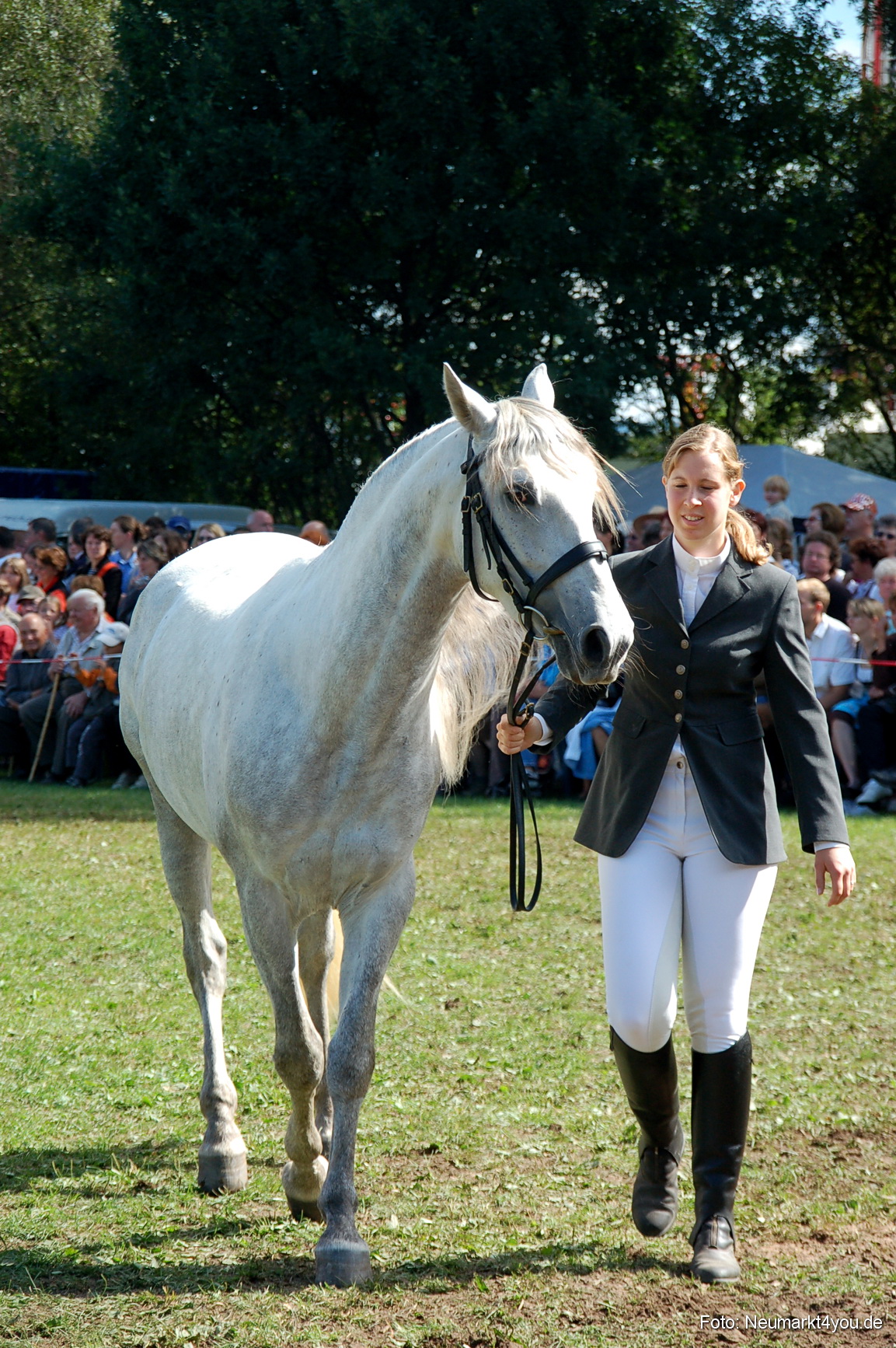 0171 Pferdeschau Neumarkt 180808