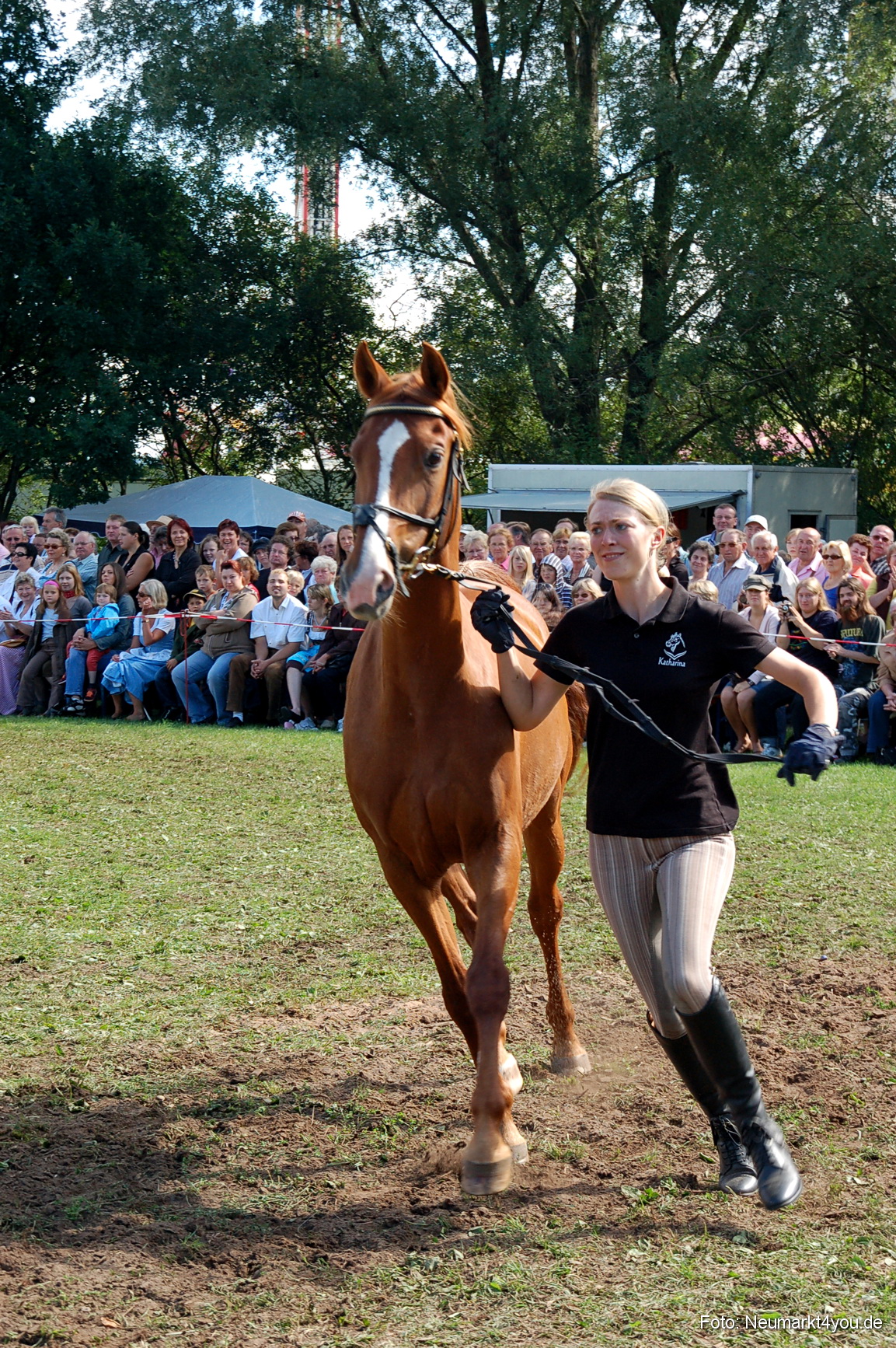 0173 Pferdeschau Neumarkt 180808