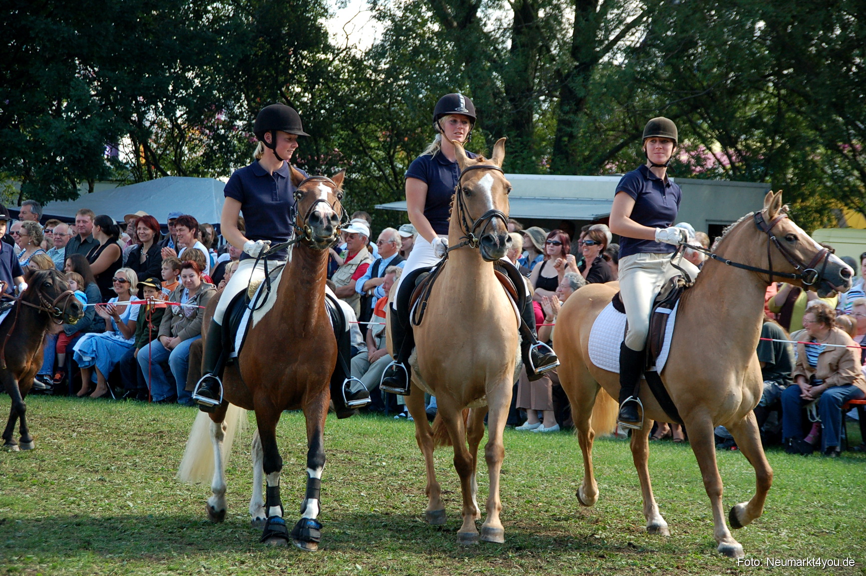 0174 Pferdeschau Neumarkt 180808