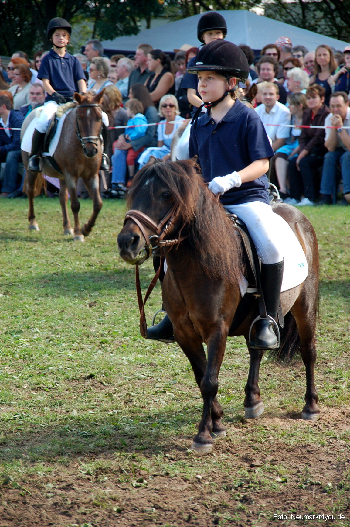 0176 Pferdeschau Neumarkt 180808