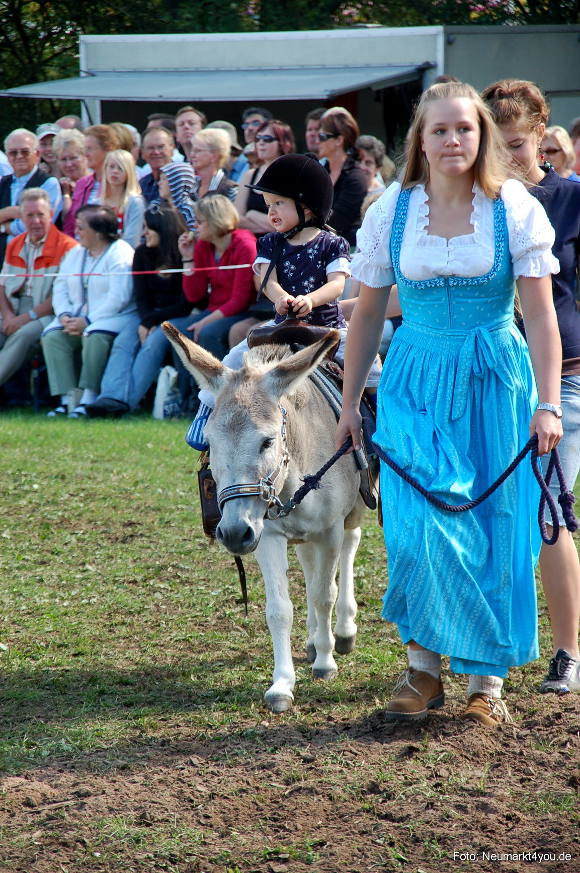 0177 Pferdeschau Neumarkt 180808