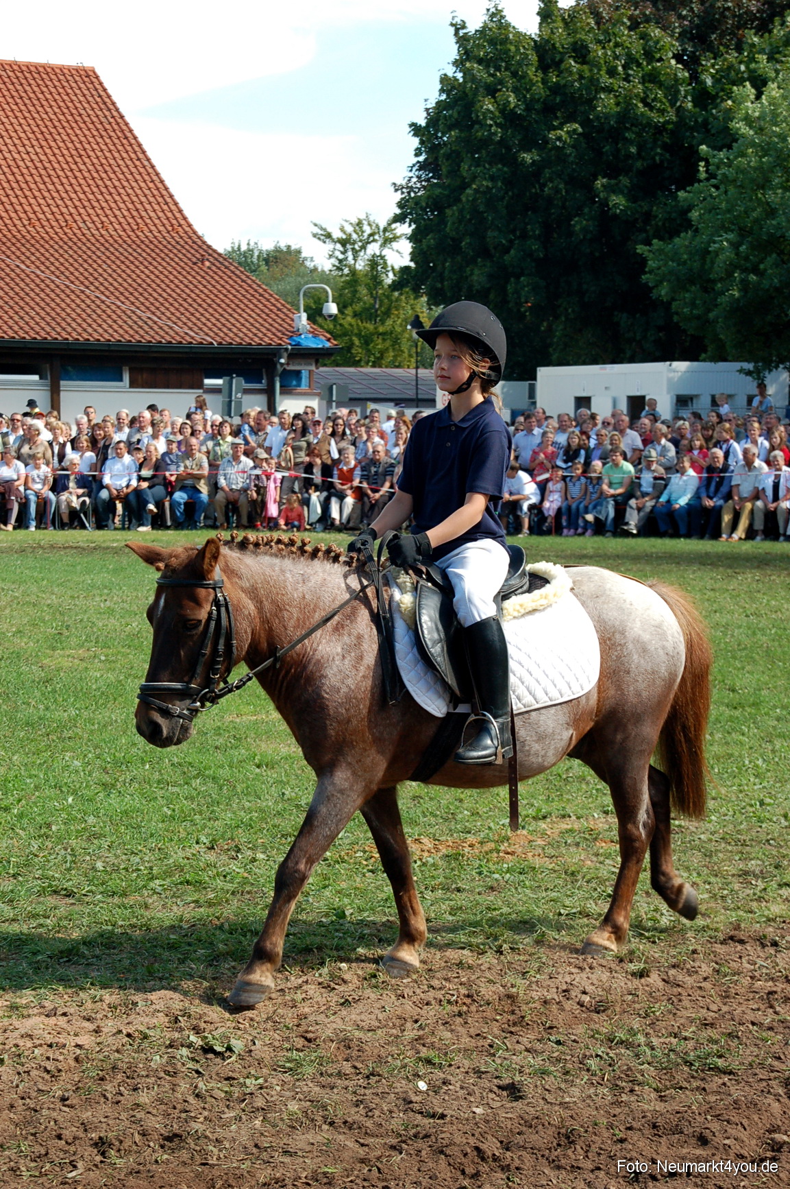 0179 Pferdeschau Neumarkt 180808