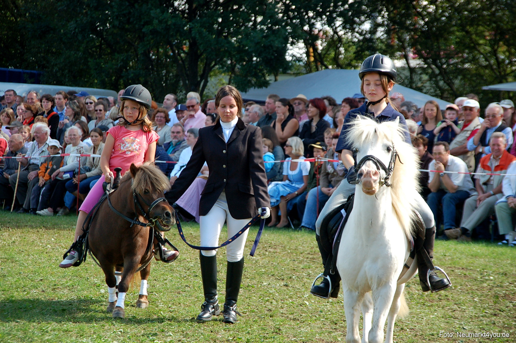 0180 Pferdeschau Neumarkt 180808