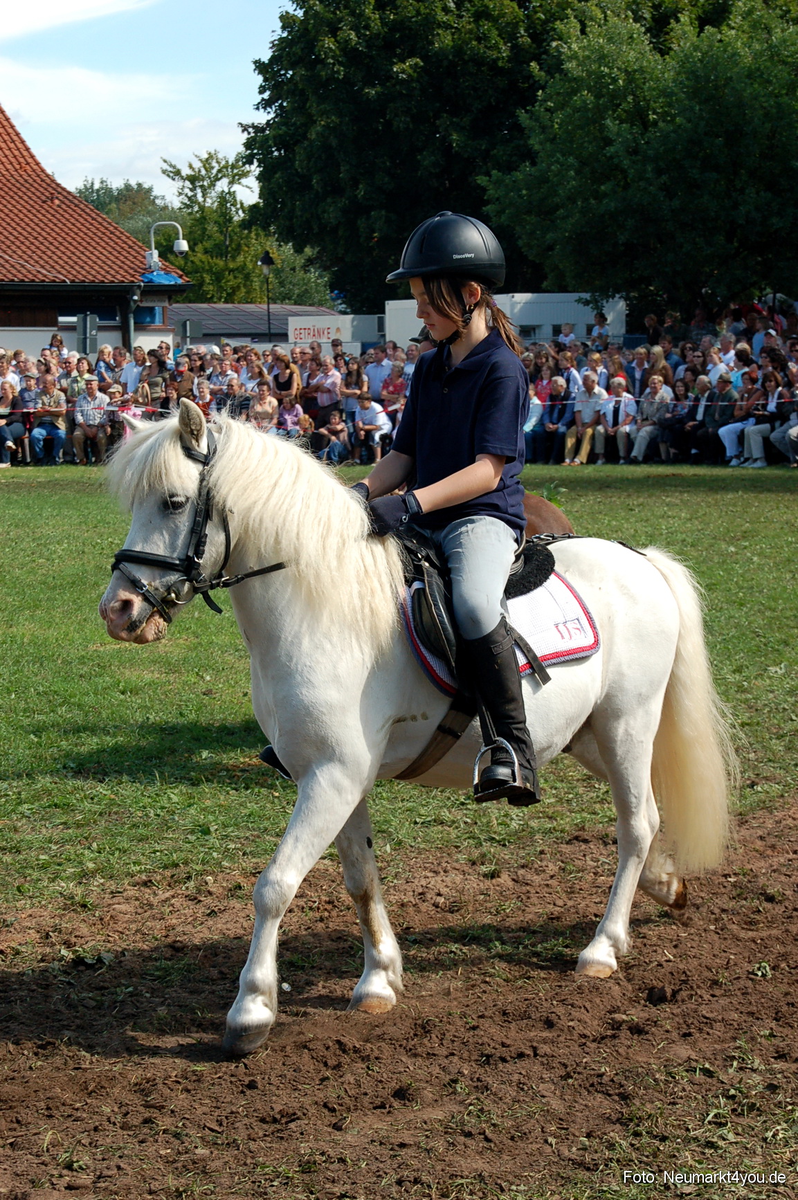 0181 Pferdeschau Neumarkt 180808