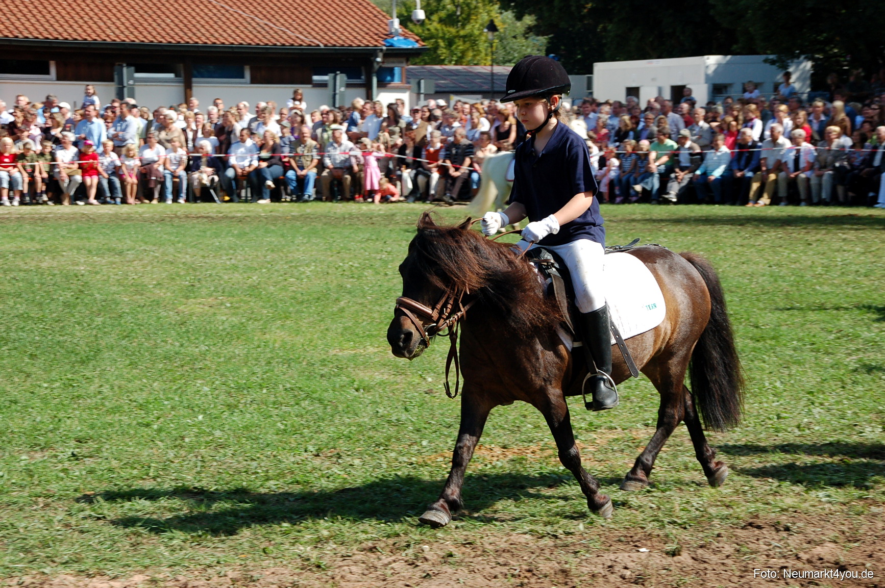 0182 Pferdeschau Neumarkt 180808